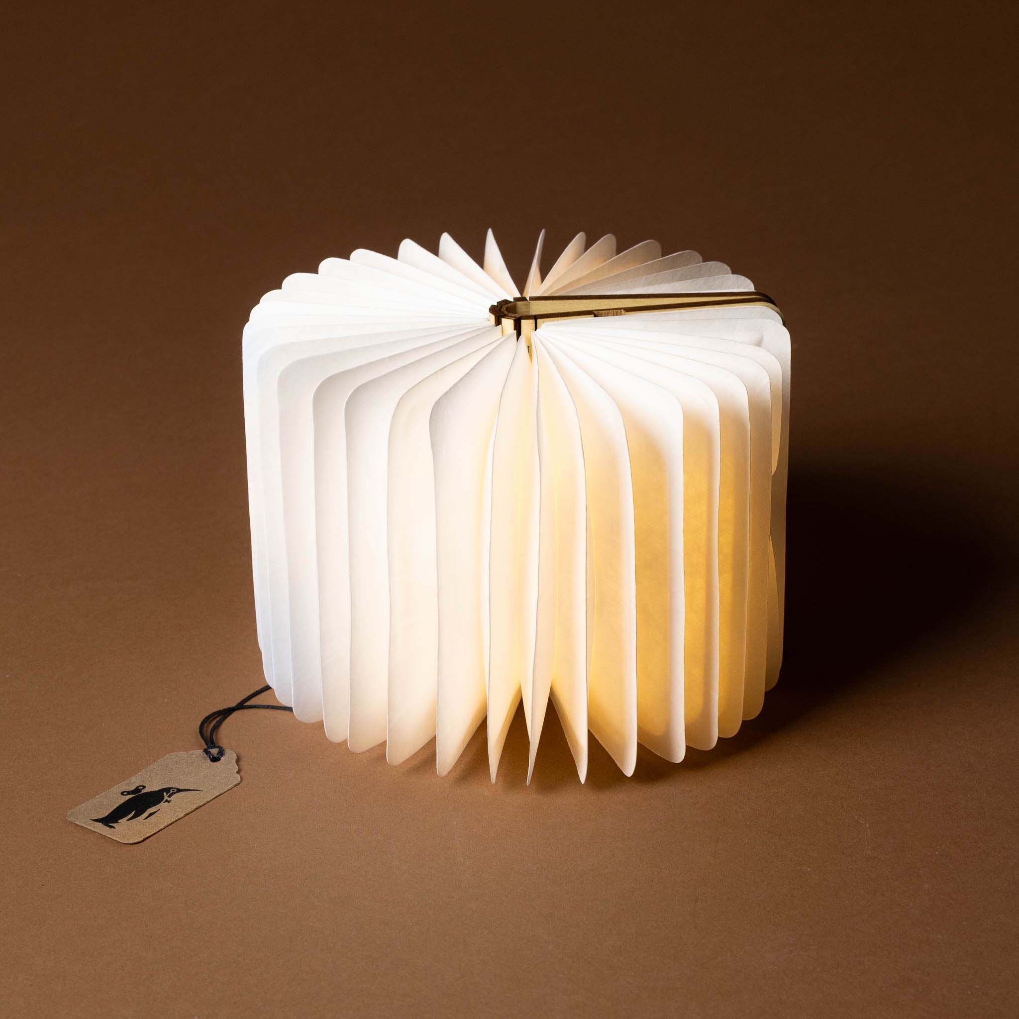 Miniature Wooden Book Lamp| Maple