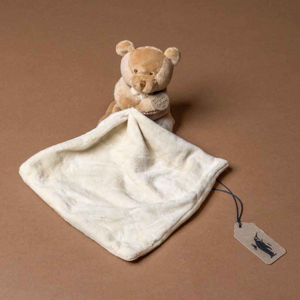 My First Little Bear with Lovie
