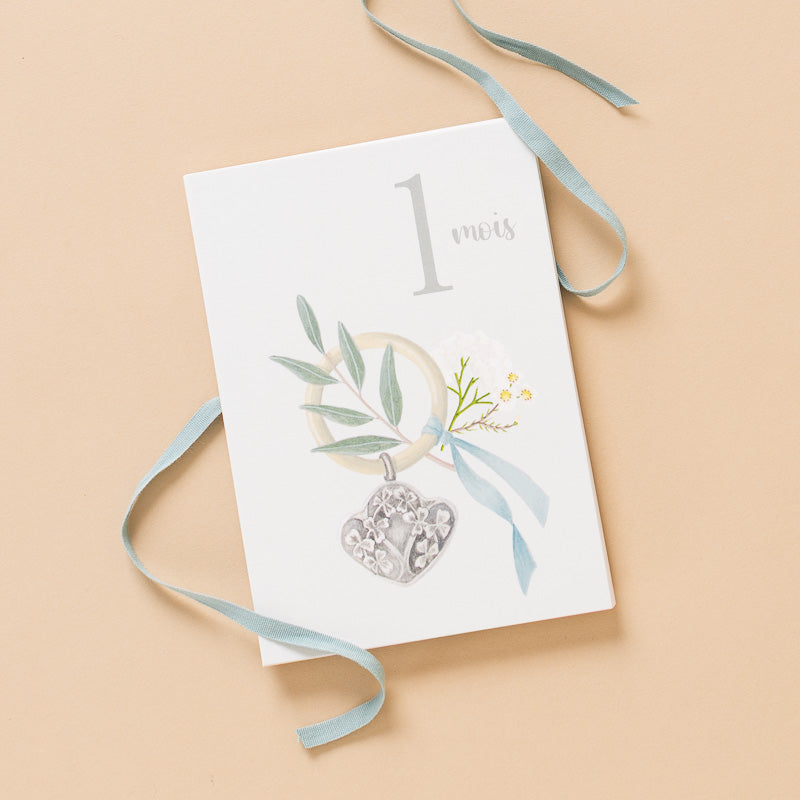 my-first-year-milestones-card-set_