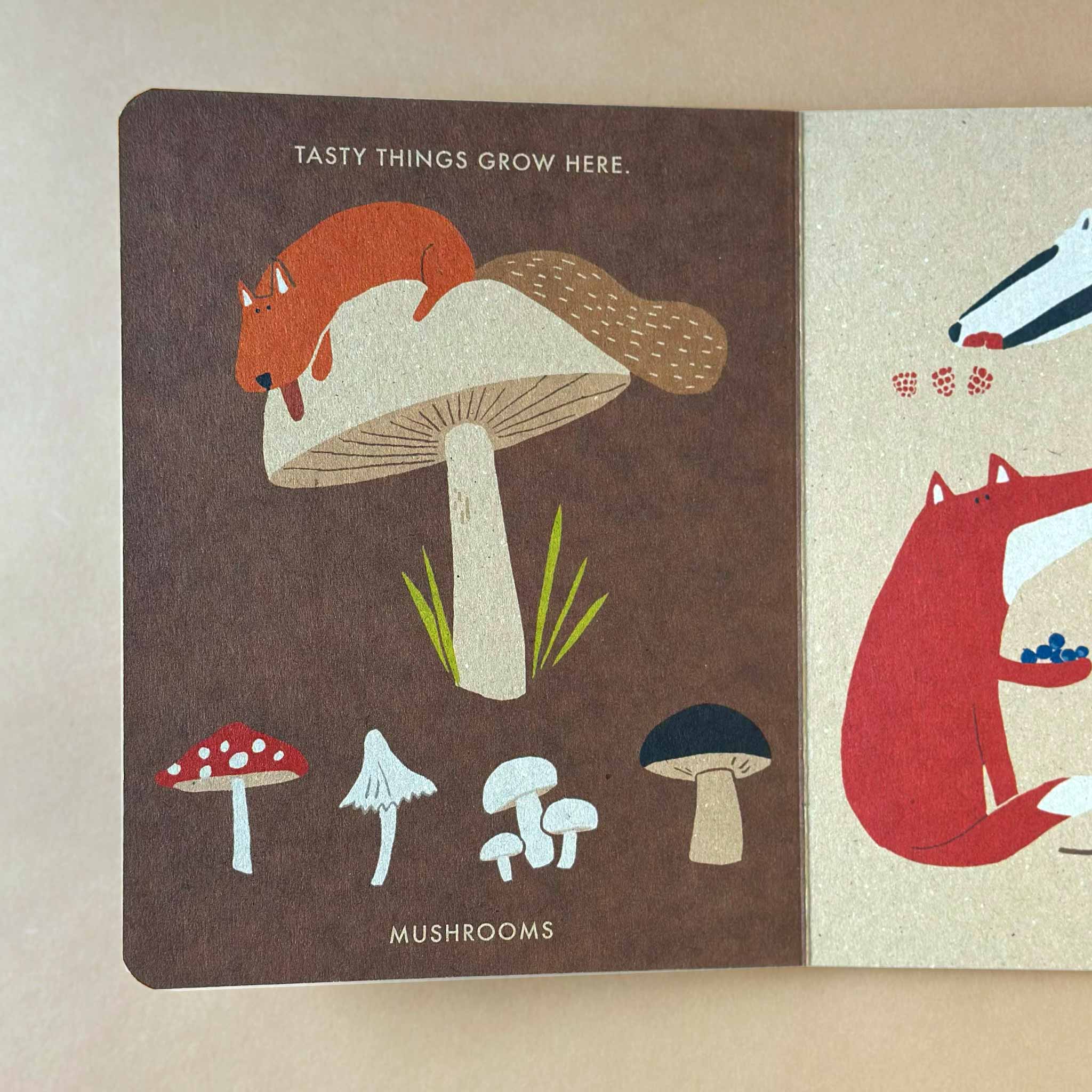 page of My Little Forest Board Book by Katrin Wiehle showing mushrooms and a beaver
