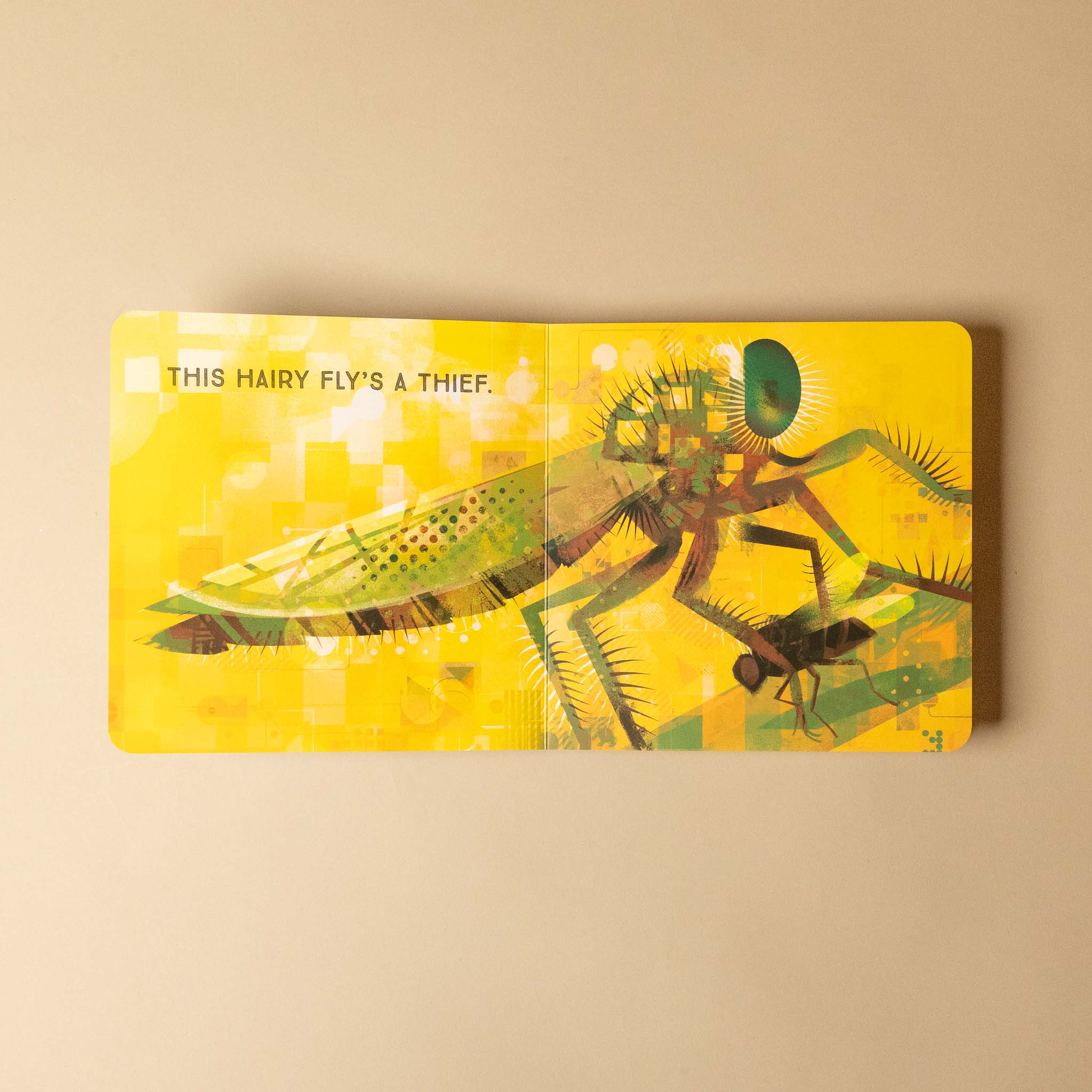 Illustration of a fly and a bee on a yellow background with text odd-bugs-board-book