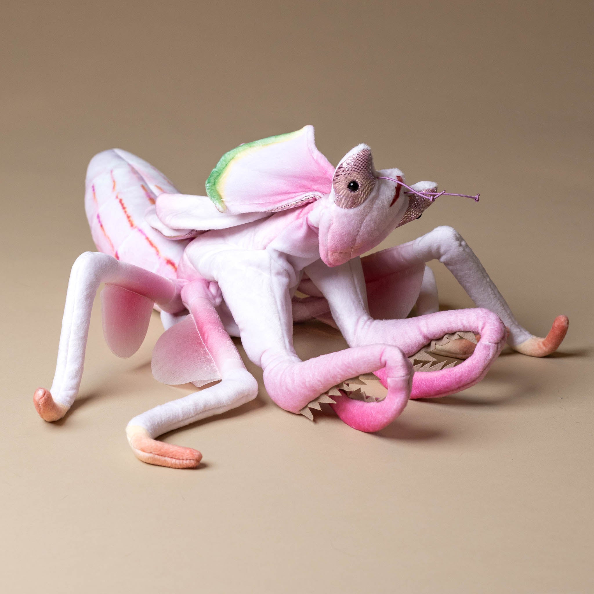 orchid-mantis-hand-puppet
