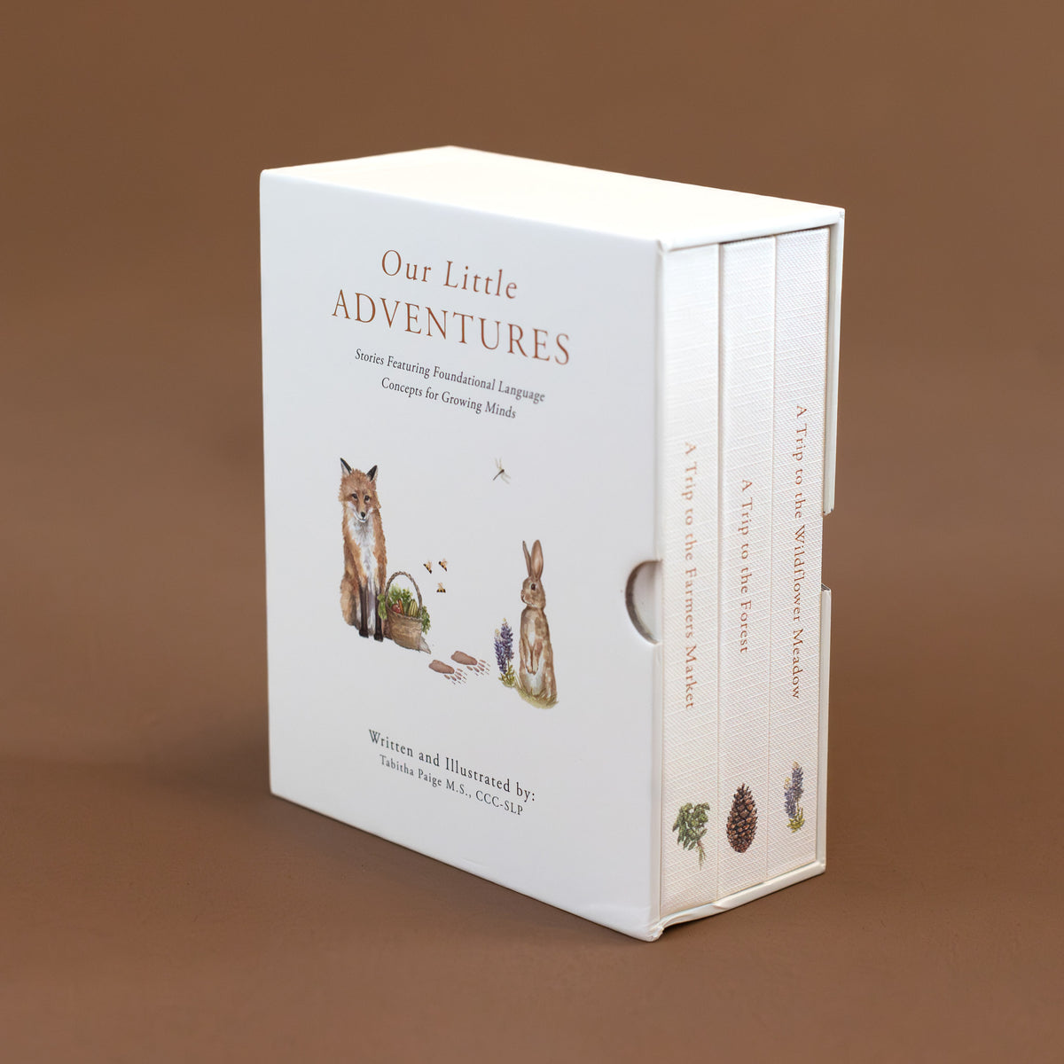 Our Little Adventures Board Book Box Set pucciManuli