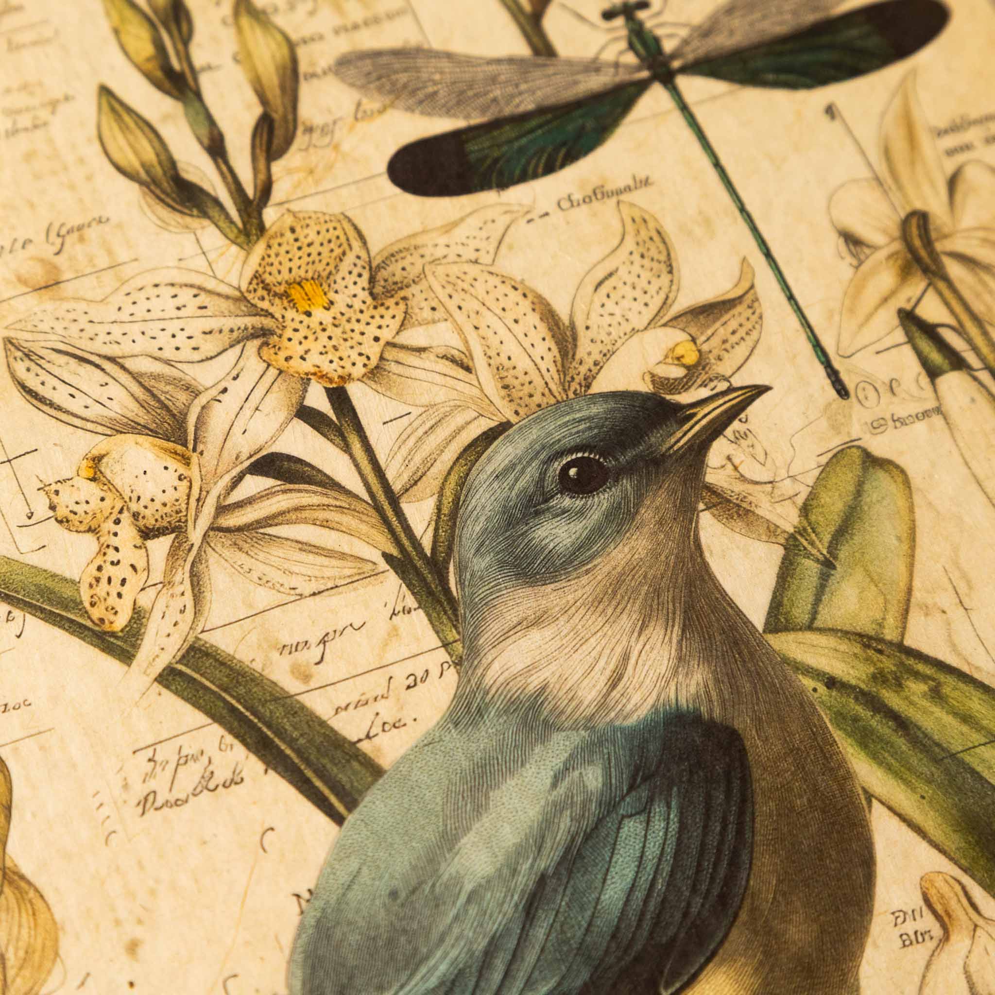 paper-print-nemophilist