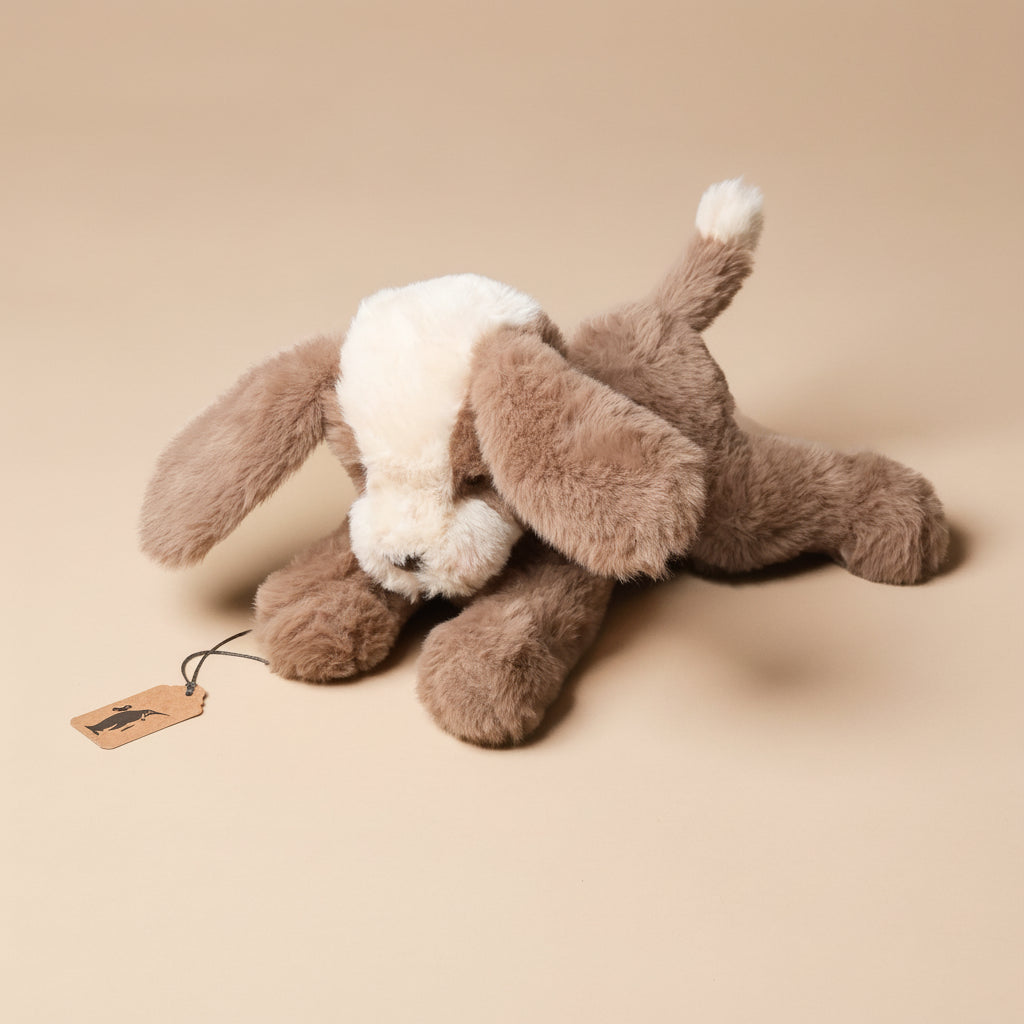 petite-floppy-mutt-toffee