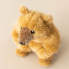 Load image into Gallery viewer, petite-carmel-sun-bear-sitting-stuffed-animal-showing-ear-snout-and-eye-detail-from-above