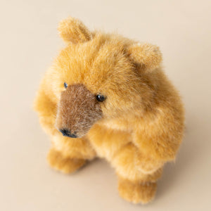 petite-carmel-sun-bear-sitting-stuffed-animal-showing-ear-snout-and-eye-detail-from-above