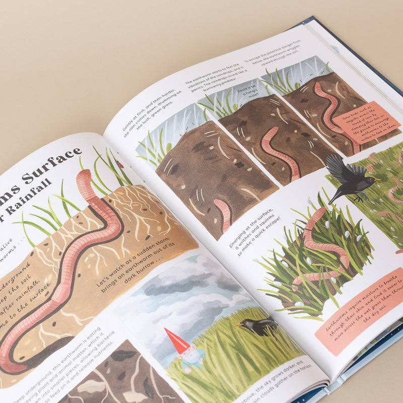 An open children's educational book showing illustrated pages about rainwater and worms, photographed on a light beige background.