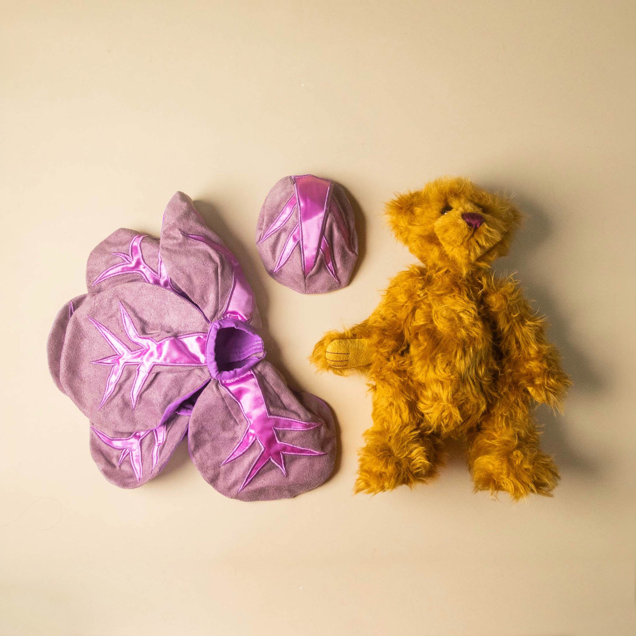 pickles-the-red-cabbage-bear on a beige background