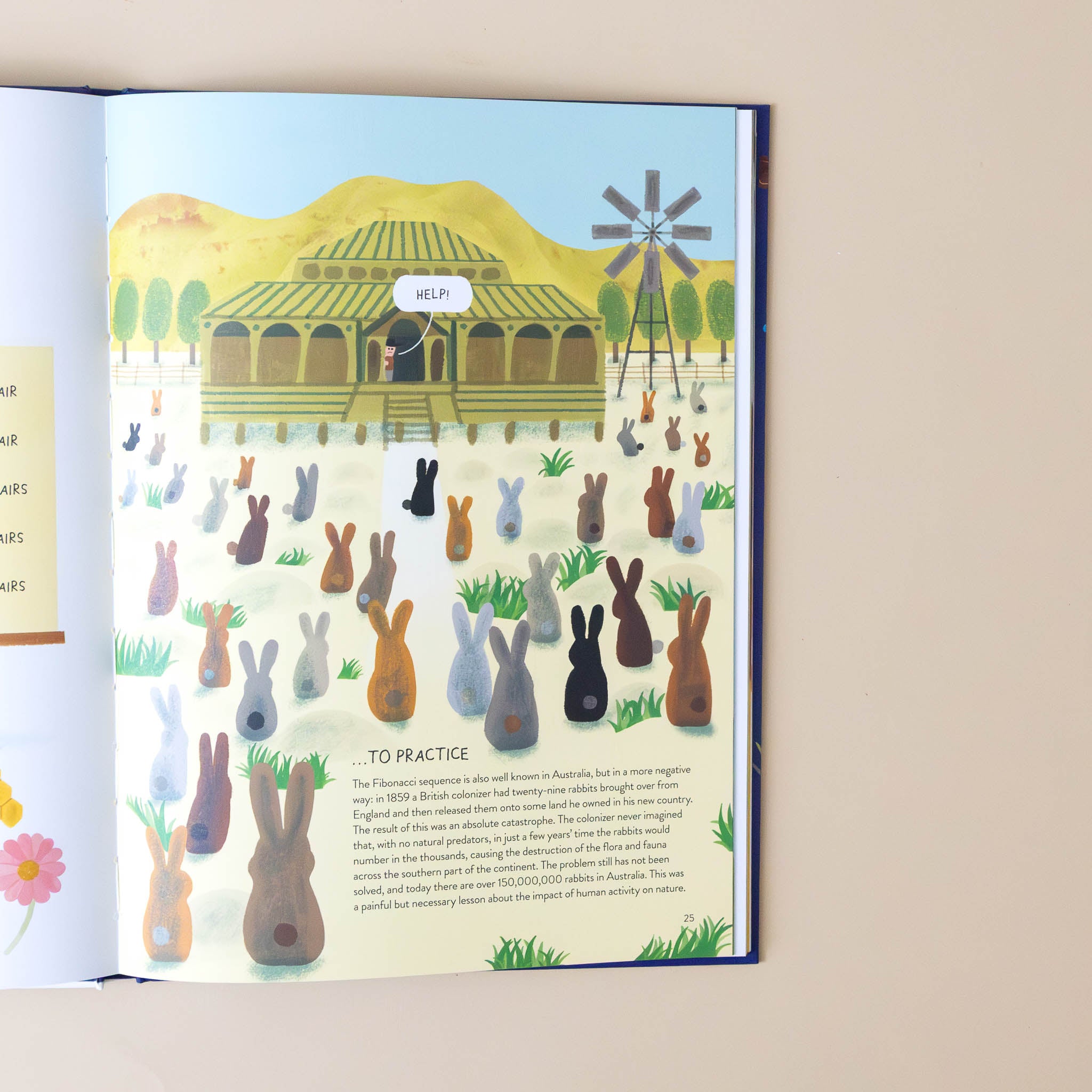 rabbitology-the-ultimate-encyclopedia-illustration-and-text-of-rabbits-in-australia