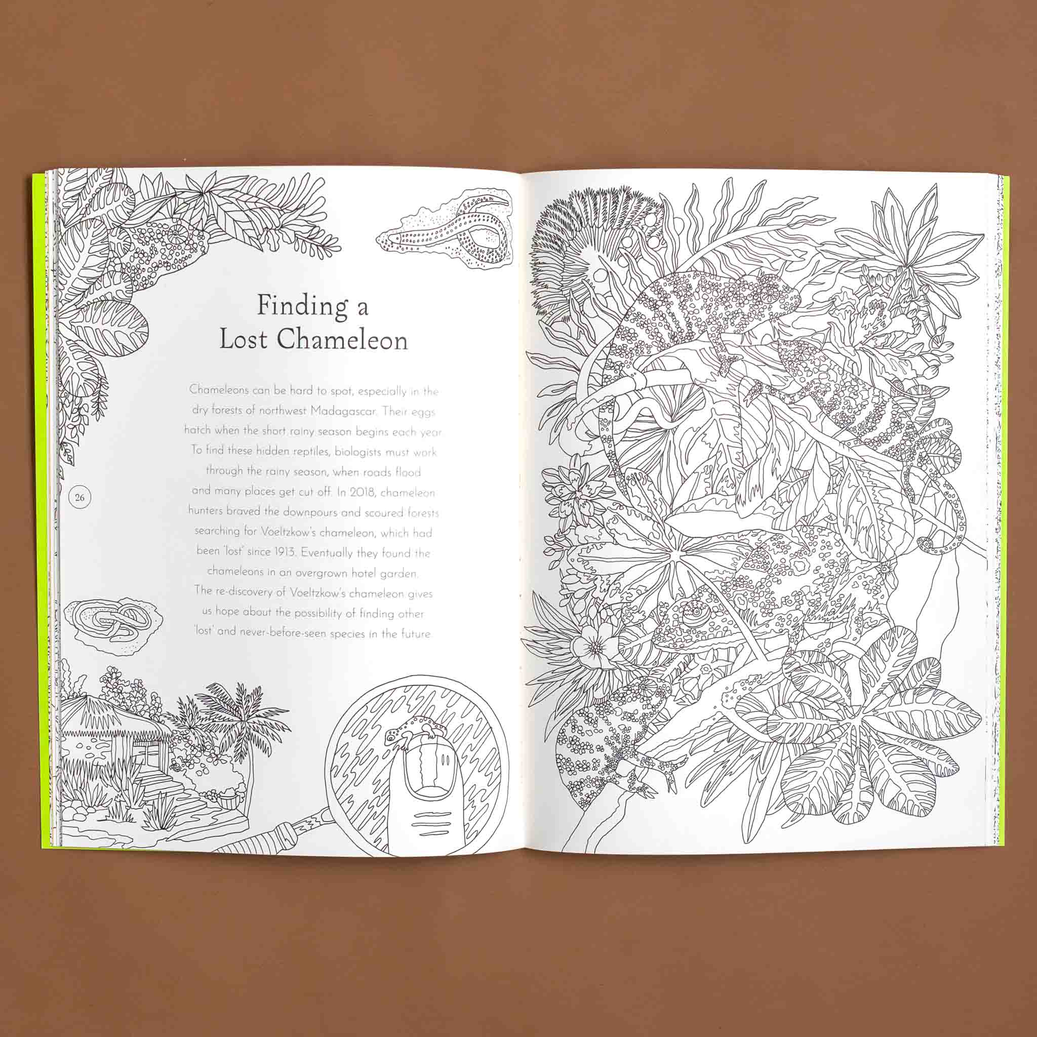 return-of-the-wild-coloring-book-interior-page-titled-finding-a-lost-chameleon