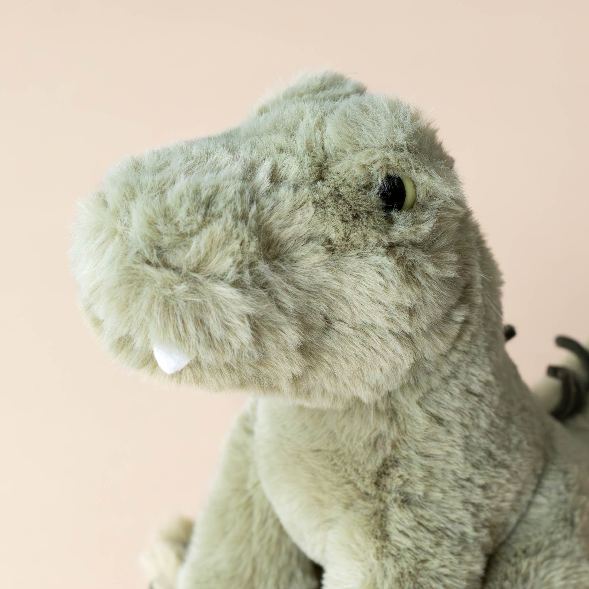 rex-the-alligator-sitting---small-with-jagged-scales-and-teeth-face