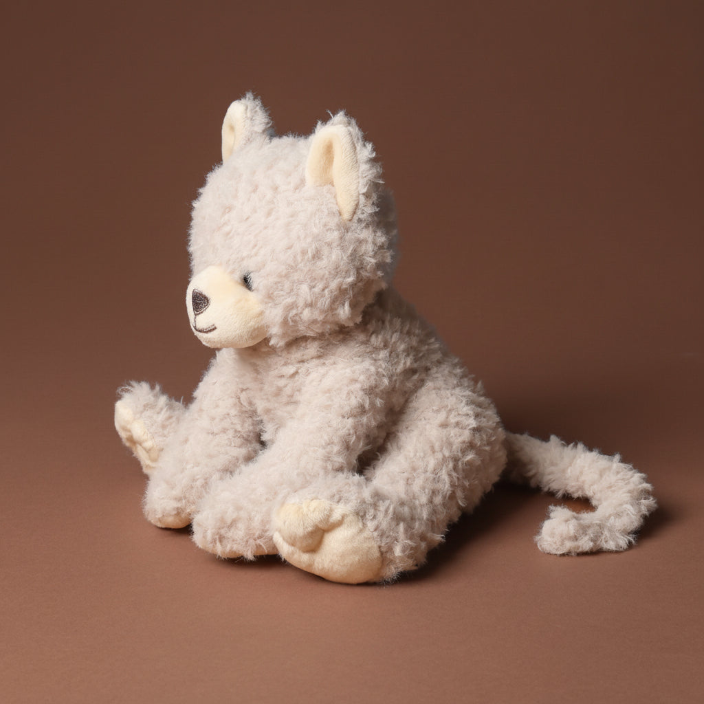 Grande Romy the Cat | Oatmeal