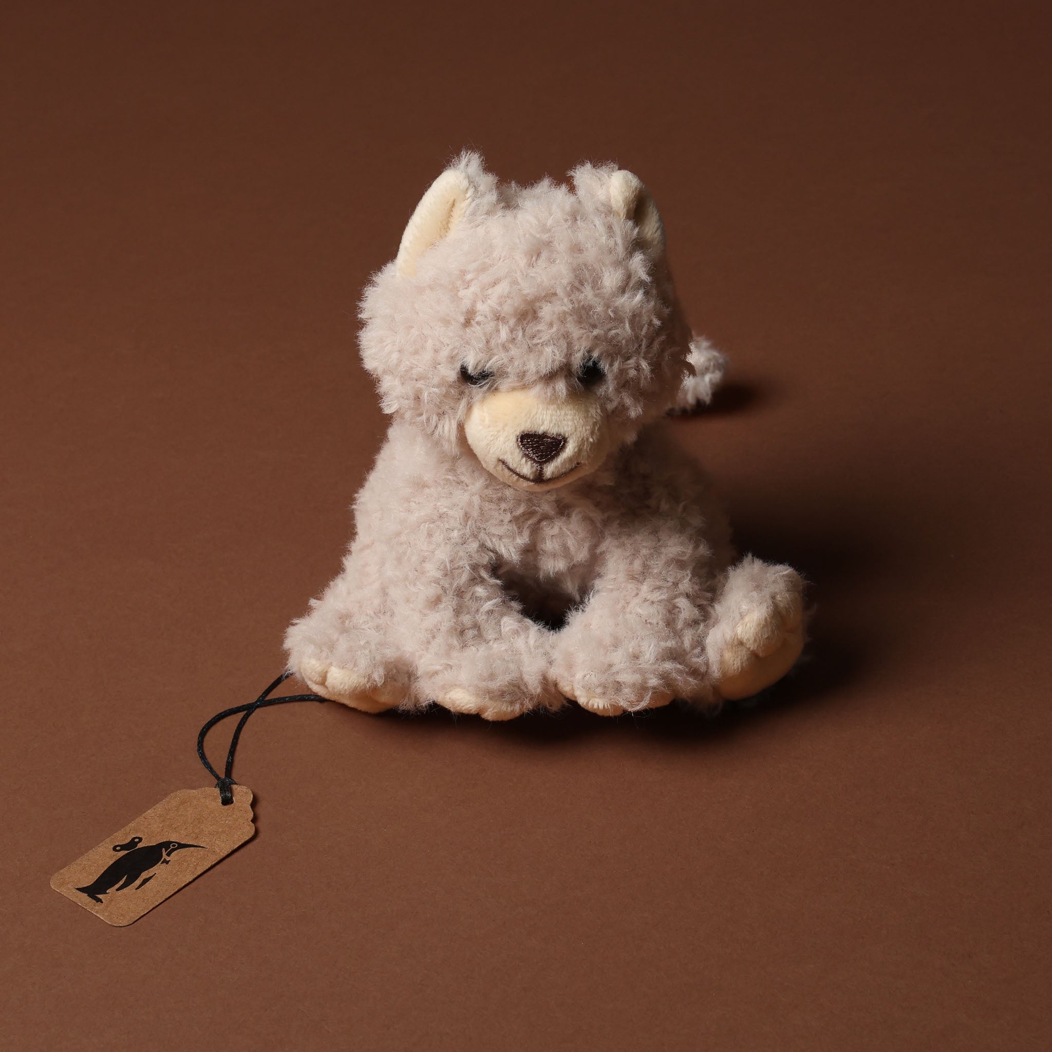 Grande Romy the Cat | Oatmeal