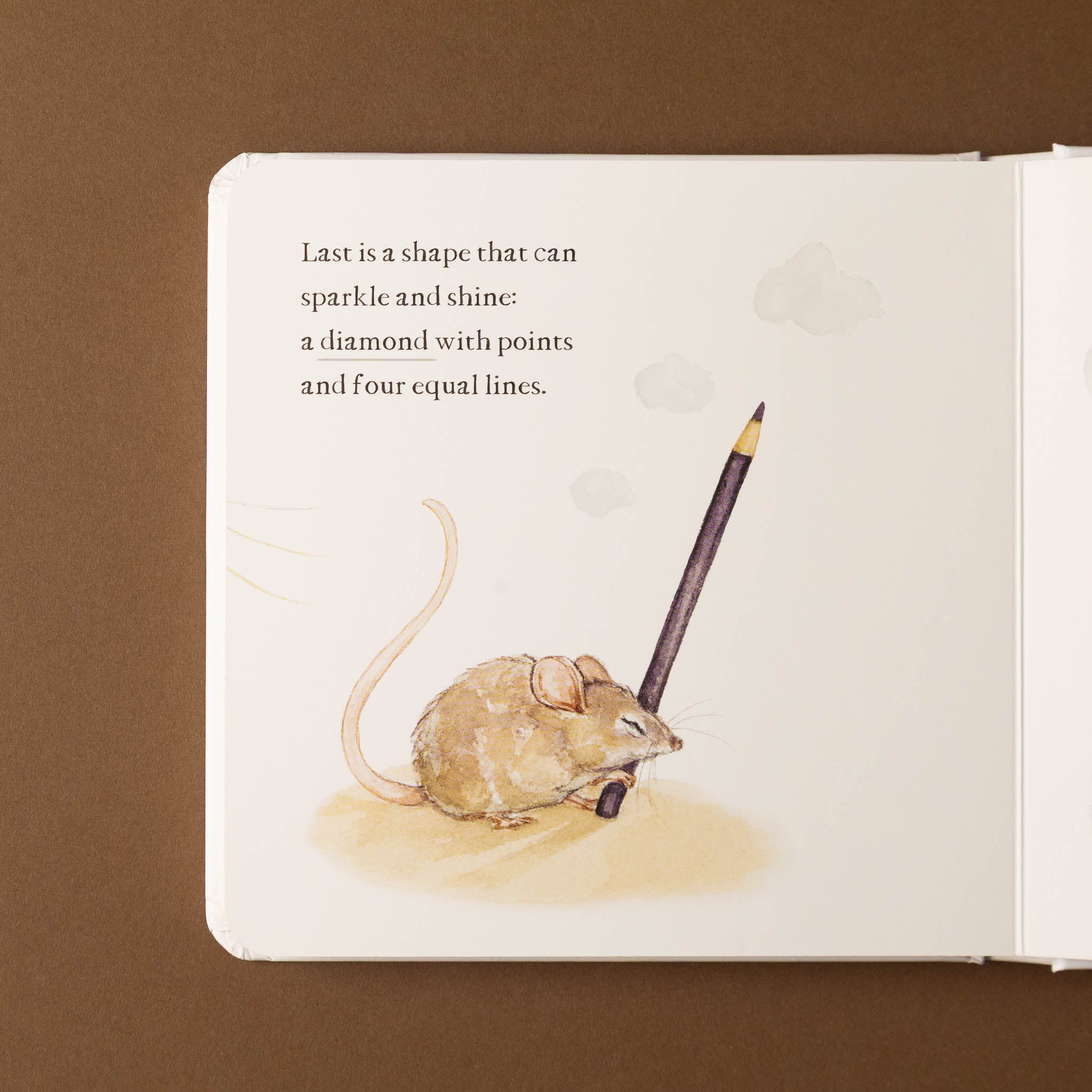 Illustration of a mouse holding a pencil in an open scribble-scrabble-a-first-words-and-shapes-board-book on a brown background