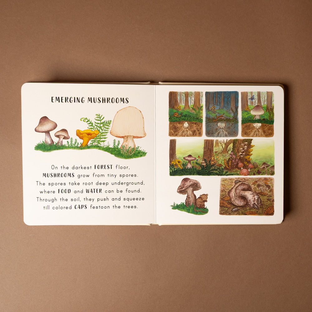 slow-down-in-the-park-board-book Open book with illustrations of mushrooms and forest scenes on a brown background