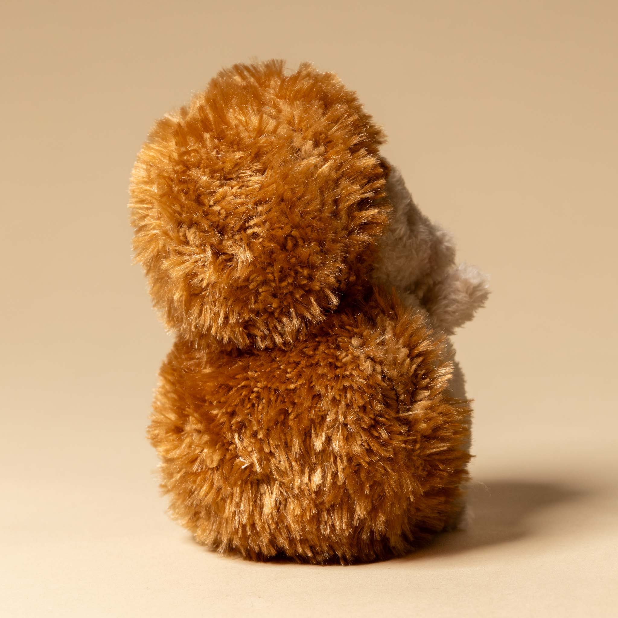 smidgen-the-hedgehog back -sitting on a beige background
