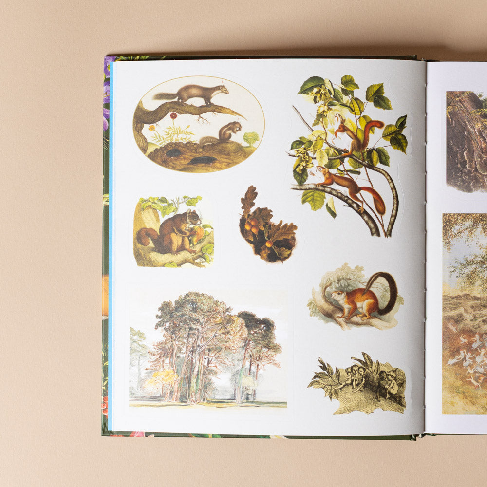 sticker-treasury-of-woodland-adventures Illustrated book open to a page with nature-themed illustrations on a beige background