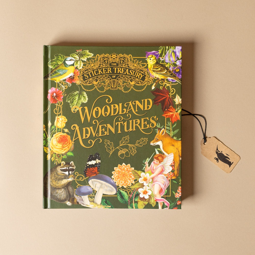 Book titled 'Woodland Adventures' with decorative cover featuring animals and nature on a beige background.
