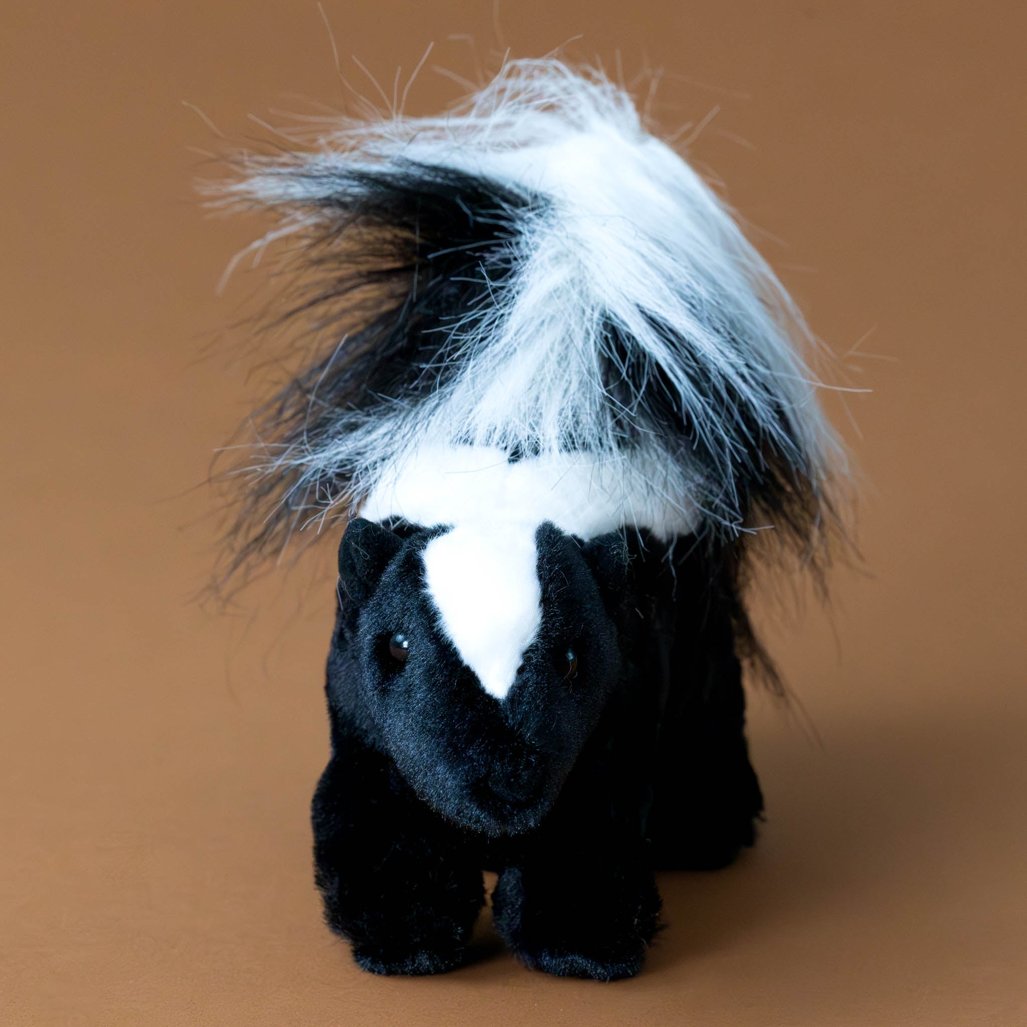 striper-the-black-and-white-skunk-with-fluffy-tail-face