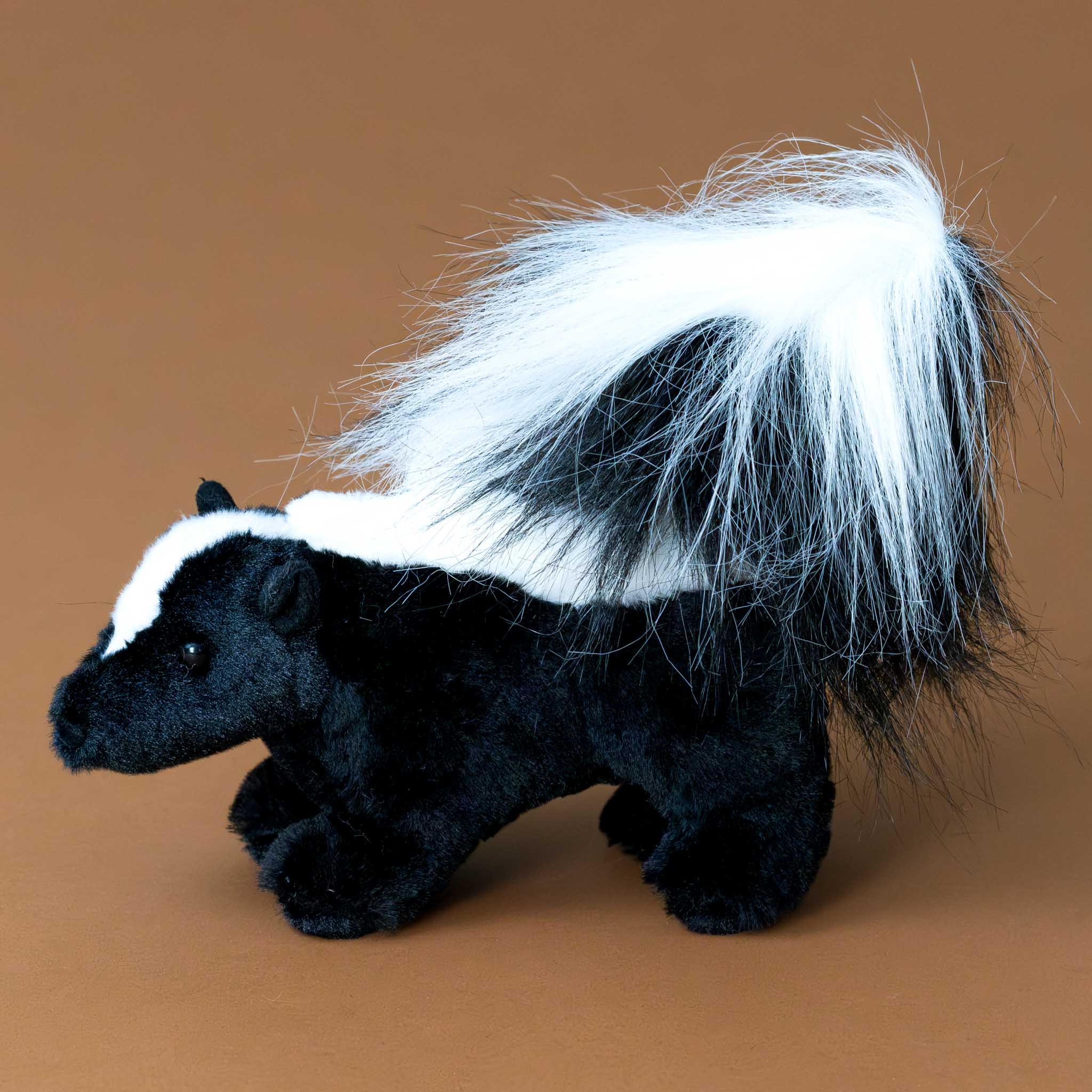 striper-the-black-and-white-skunk-with-fluffy-tail-side