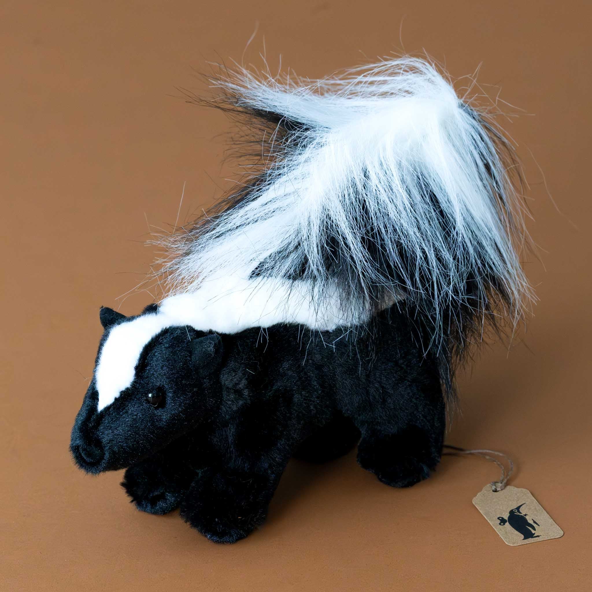 striper-the-black-and-white-skunk-with-fluffy-tail