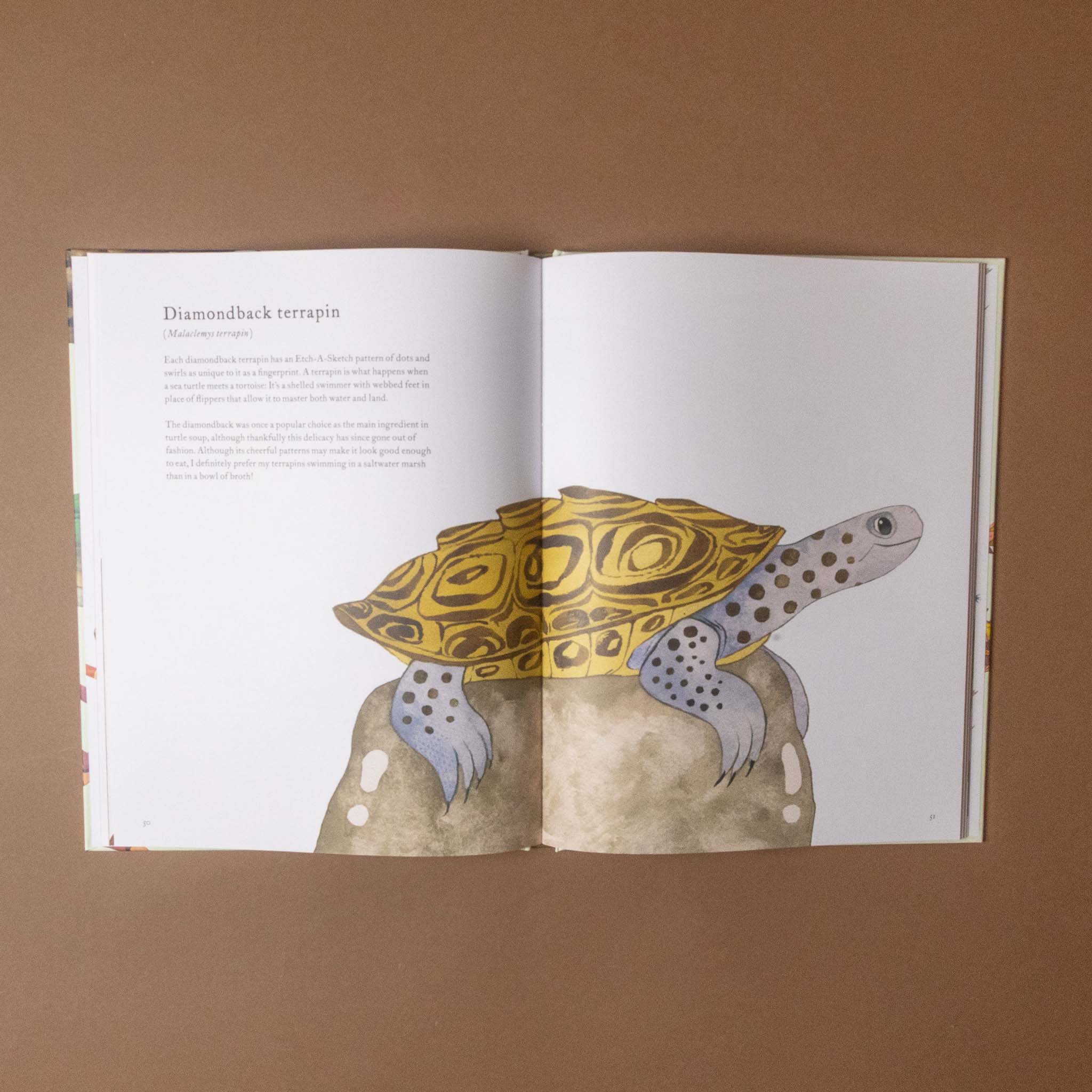 Open the-colorful-world-of-reptiles-book showing a illustration of a turtle on a brown background