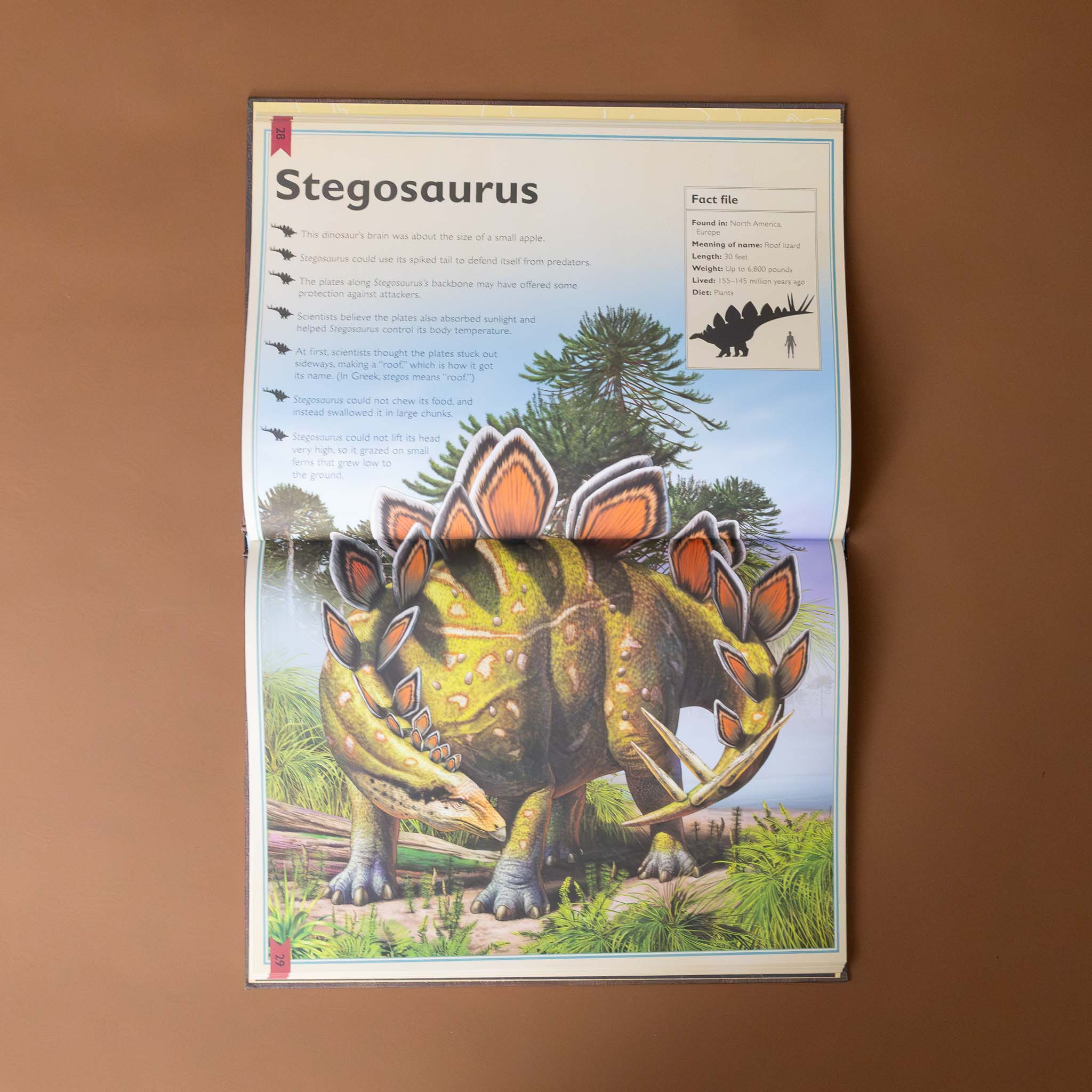 the-magnificent-book-of-dinosaurs-interior-page-with-illustration-and-text-about-a-stegosaurus
