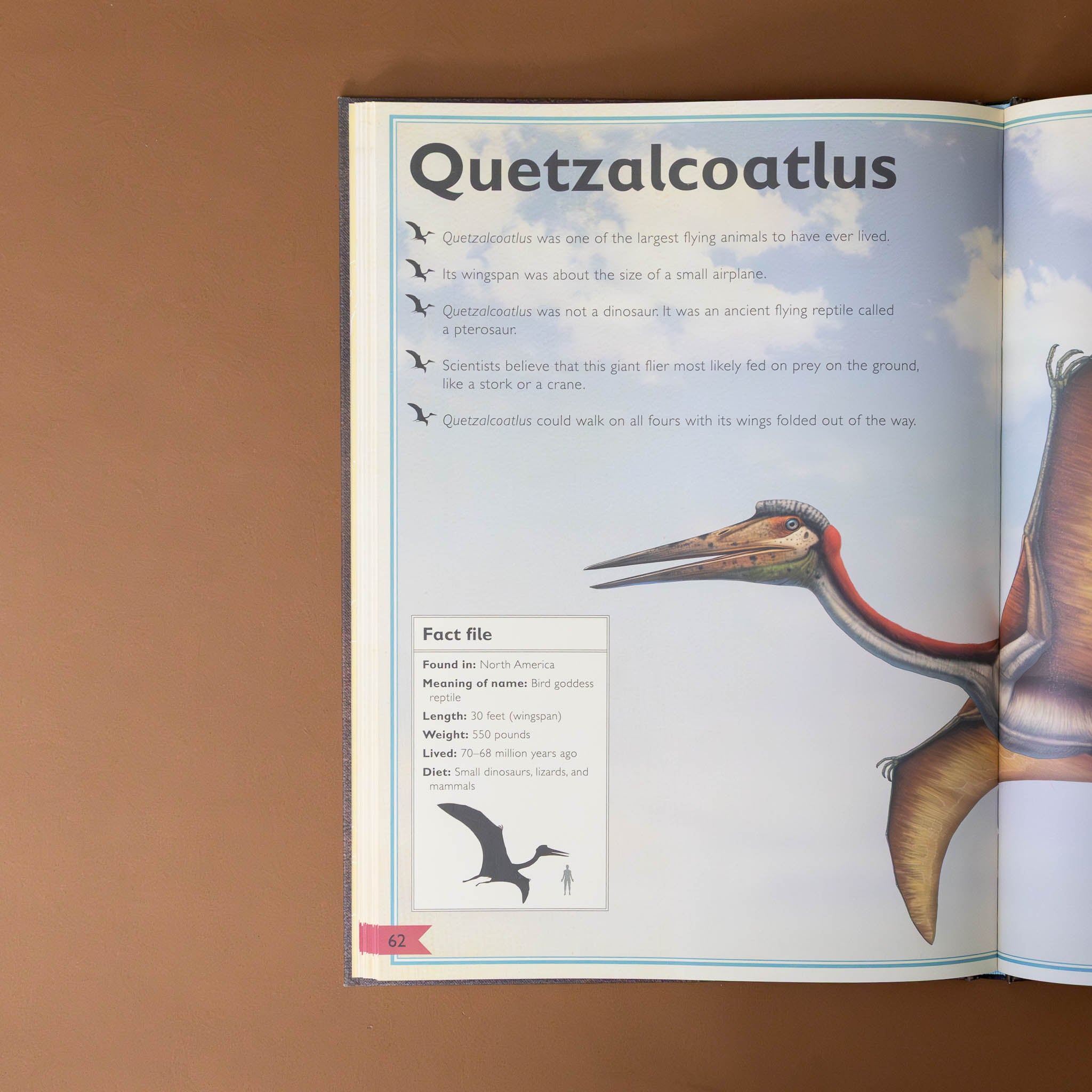 the-magnificent-book-of-dinosaurs-illustration-and-text-on-quetzalcoatlus