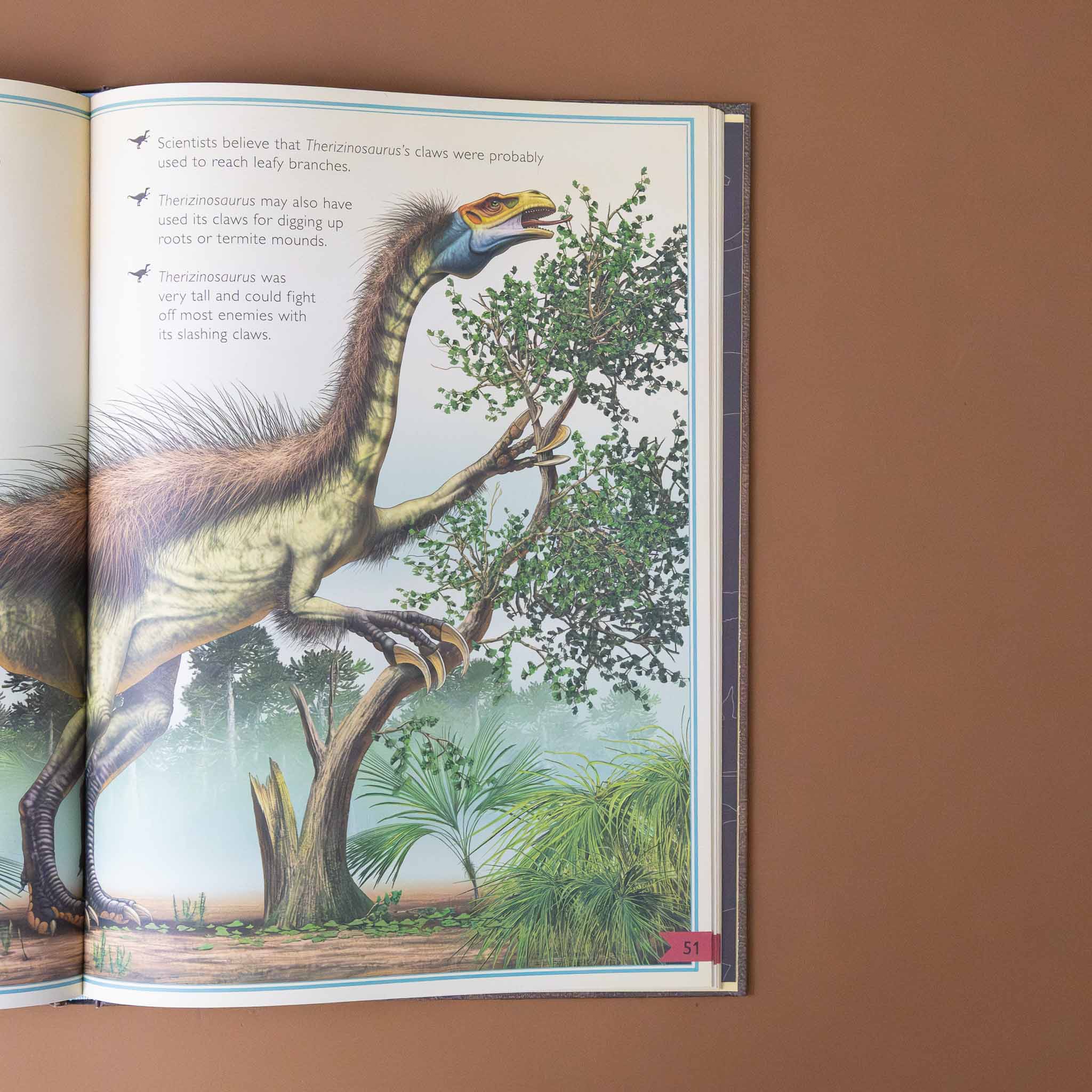 The Magnificent Book of Dinosaurs