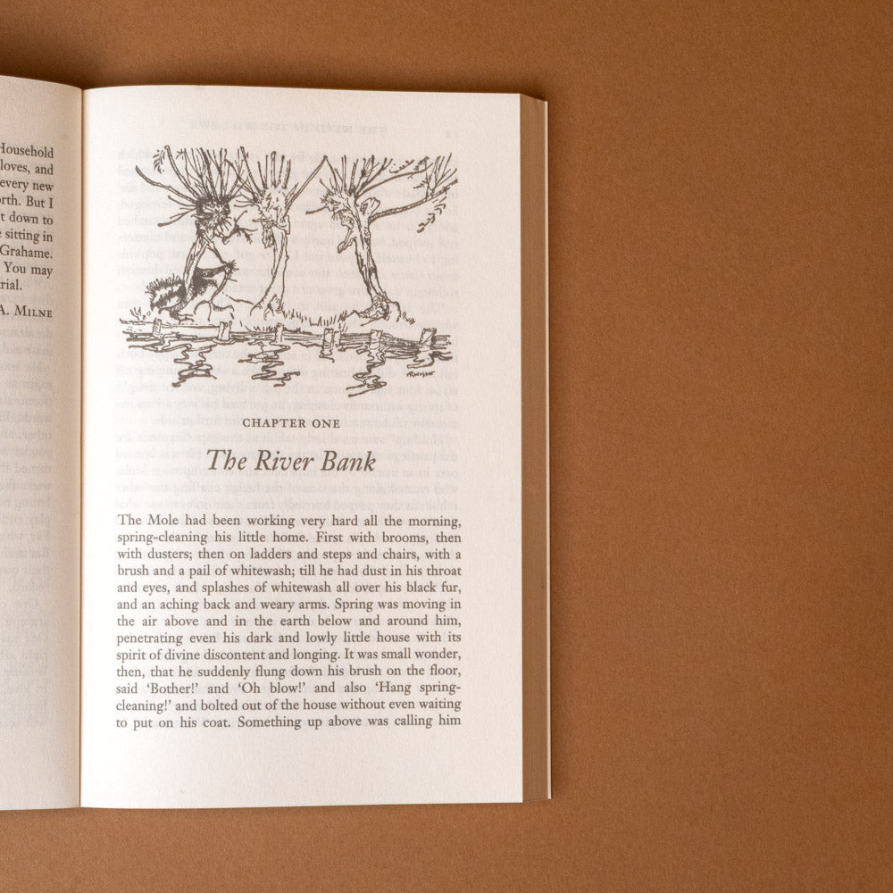 the-wind-in-the-willows--exclusive-edition Open book with illustration and text on a brown background