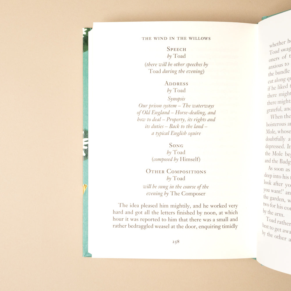 the-wind-in-the-willows Open book with text on a beige background