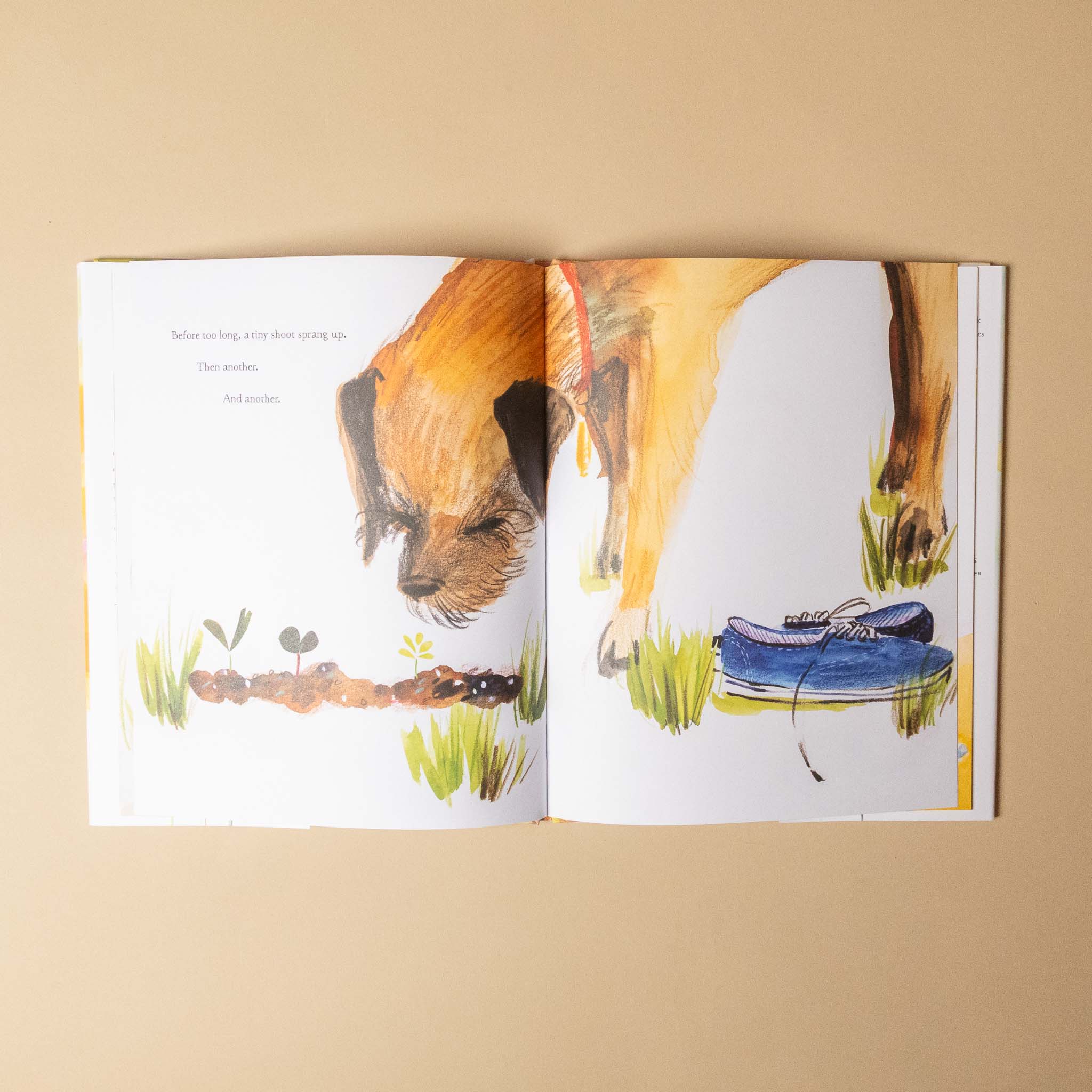 Open tiny-garden showing a page with an illustration of a dog and a shoe on a beige background