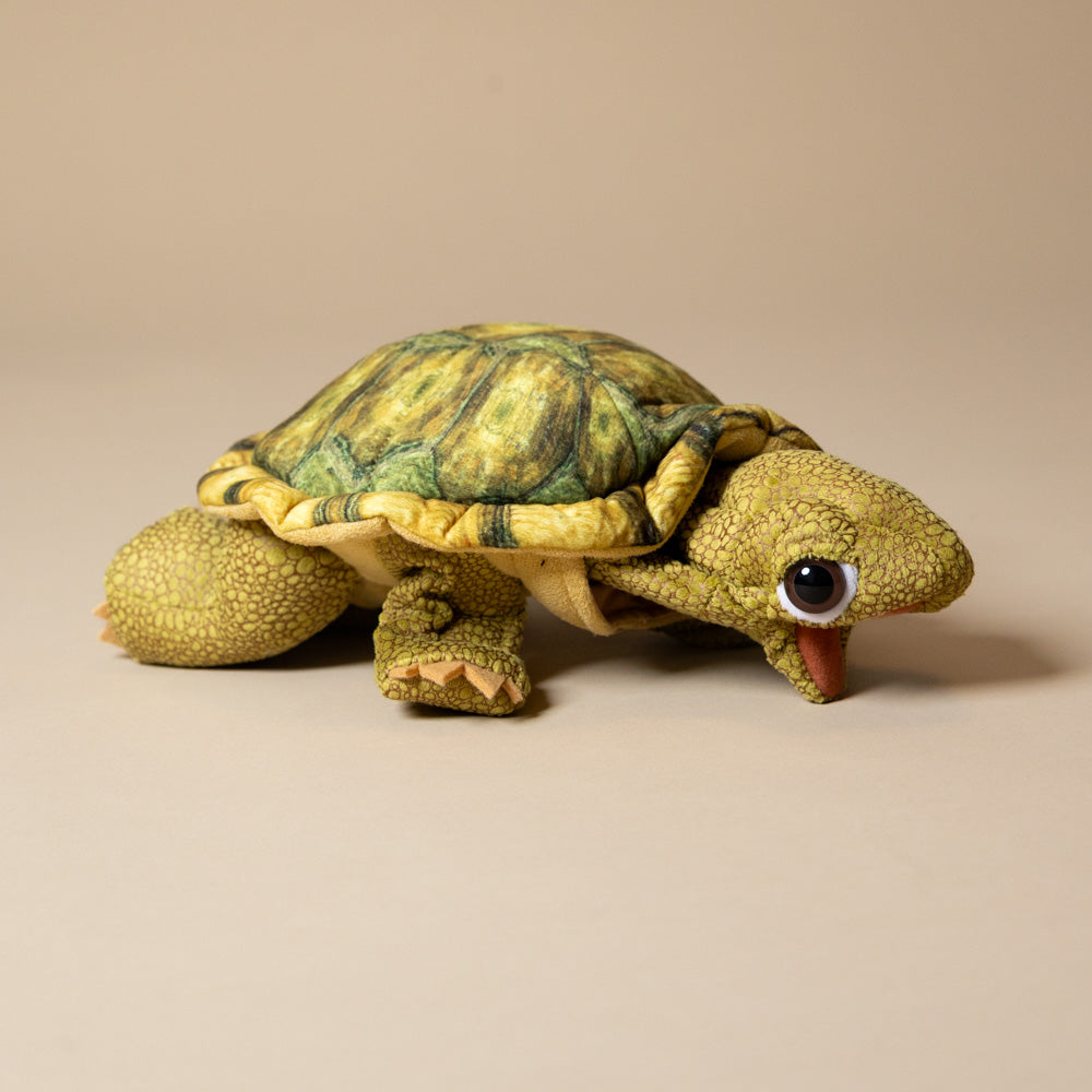 tortoise-sitting-hand-puppet-side