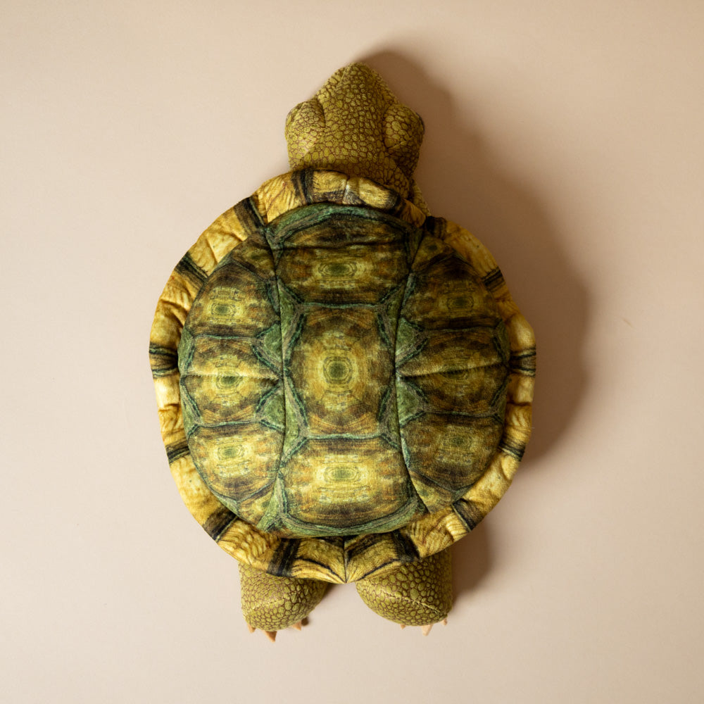 tortoise-sitting-hand-puppet-back