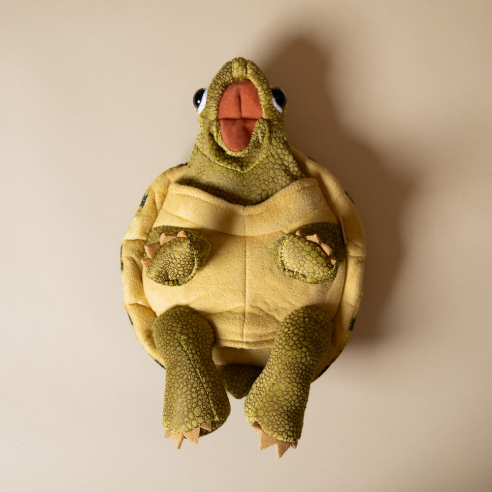 tortoise-sitting-hand-puppet-belly
