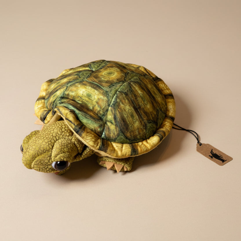 tortoise-sitting-hand-puppet