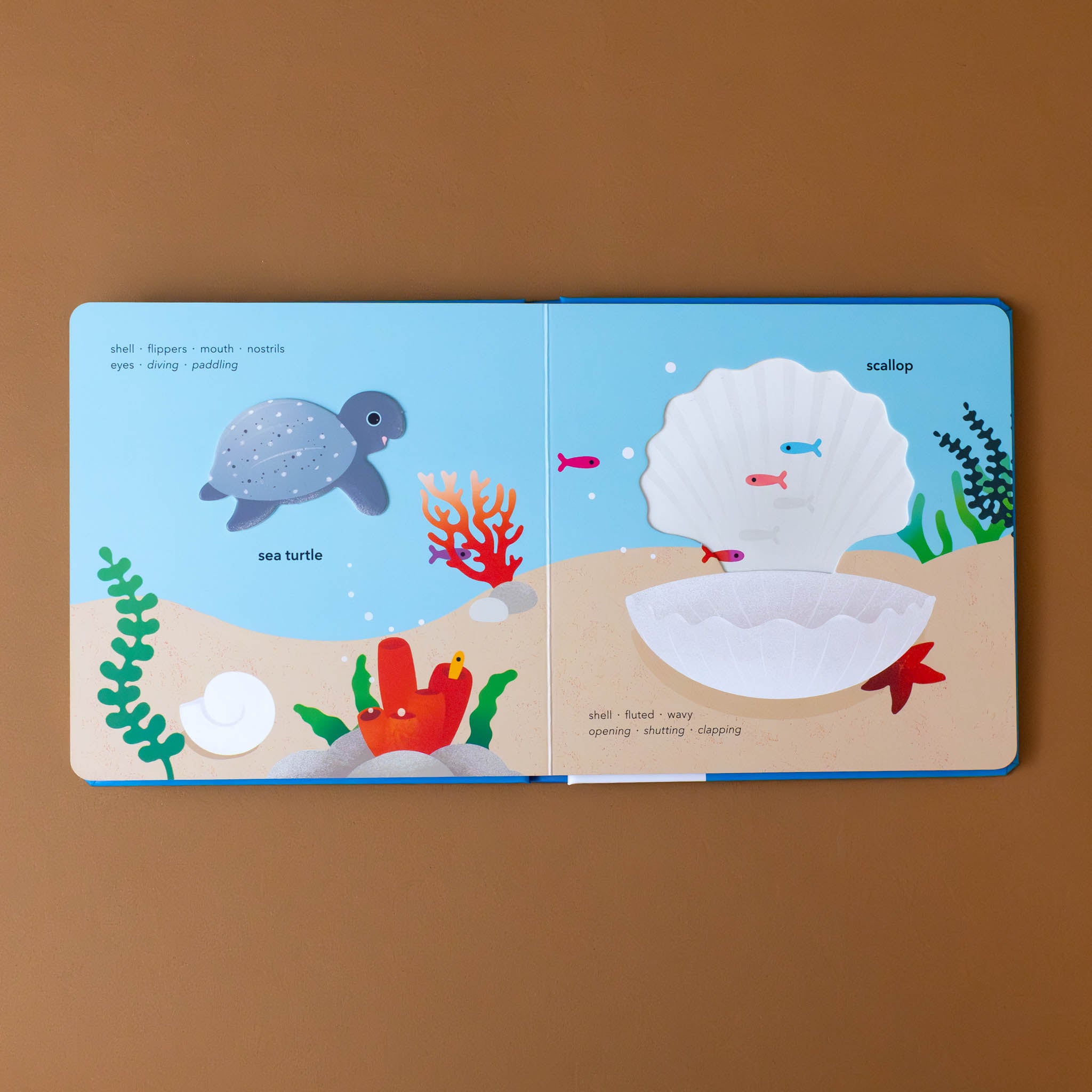 touch-think-learn-underwater-board-book-interior-page-with-clam-shell