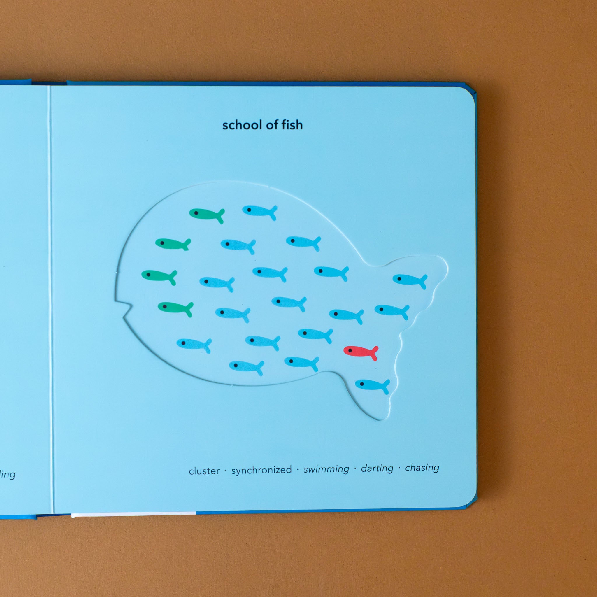 touch-think-learn-underwater-board-book-interior-page-with-fish-cutout-with-school-of-fish-inside
