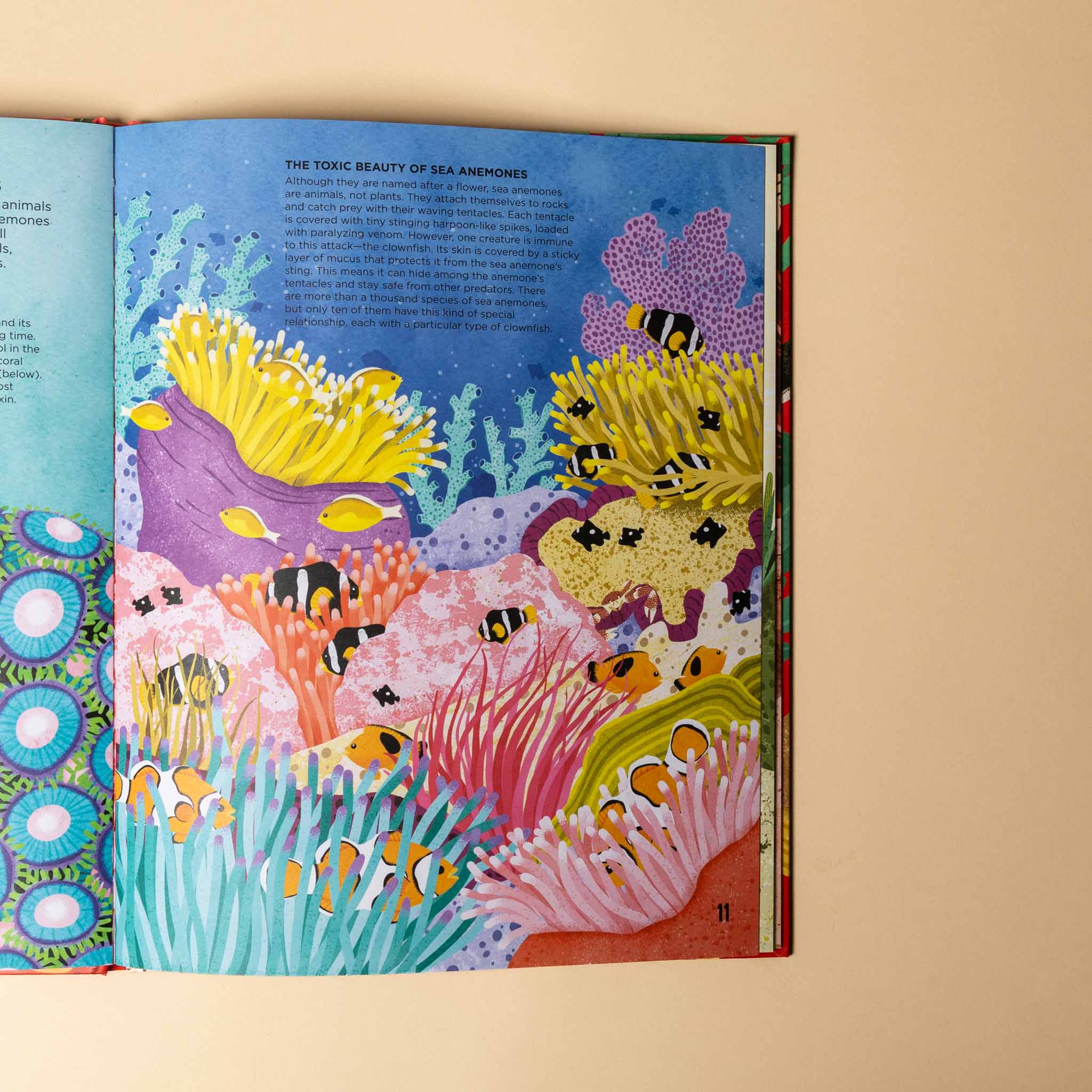 toxic-the-worlds-deadliest-creatures Colorful illustration of sea anemones and fish in a book on a beige background