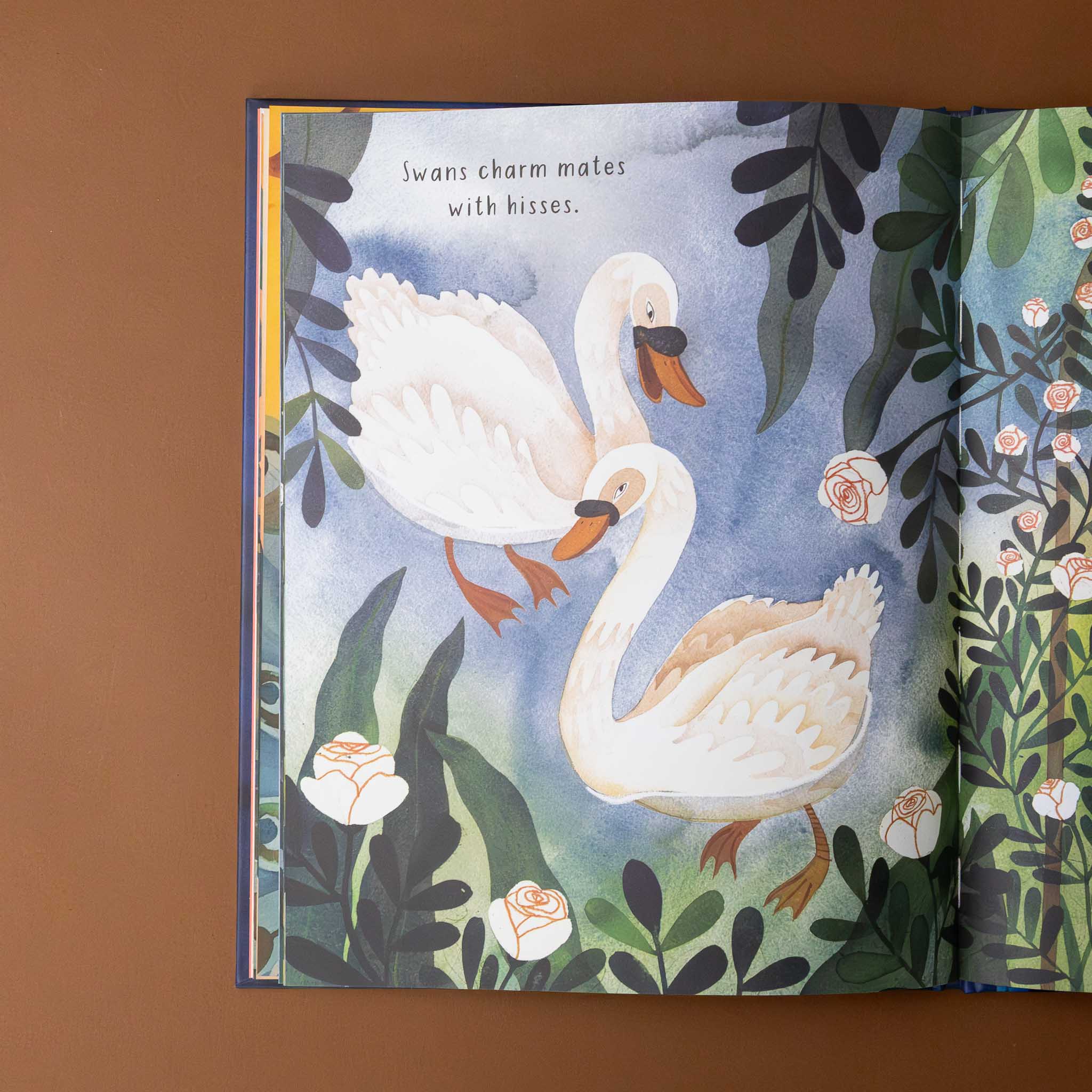 ways-to-say-i-love-you-illustration-and-text-on-two-swans