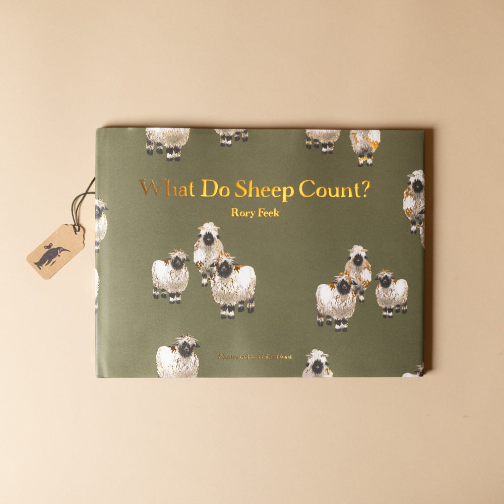 Book titled 'What Do Sheep Count?' by Rory Feek with illustrations of sheep on a green background.