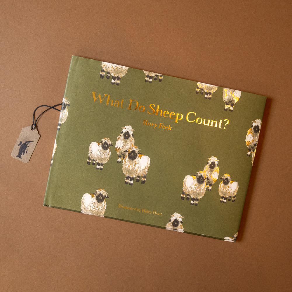 what-do-sheep-count-book
