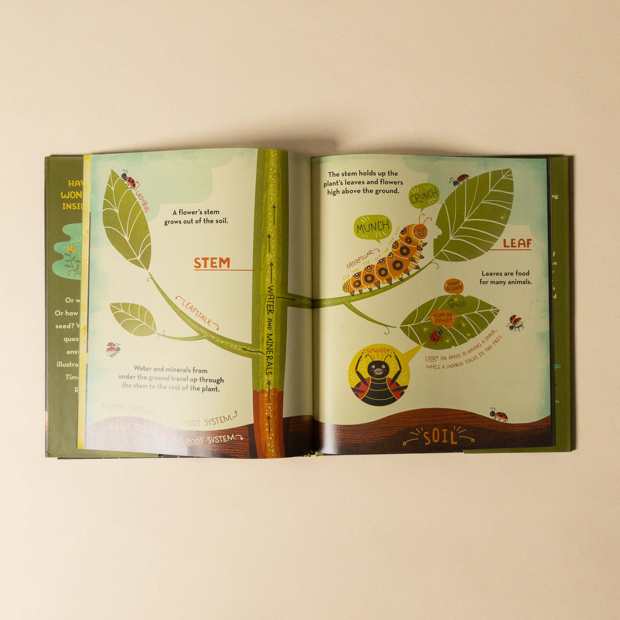 Open whats-inside-a-flower-book with educational illustrations of plant parts on a beige background