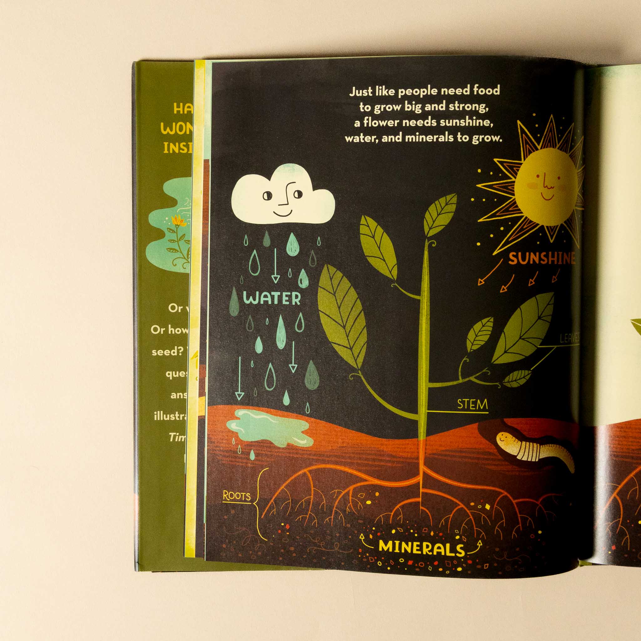 Illustrated whats-inside-a-flower-book open to a page about plant growth with a sun, cloud, and roots.