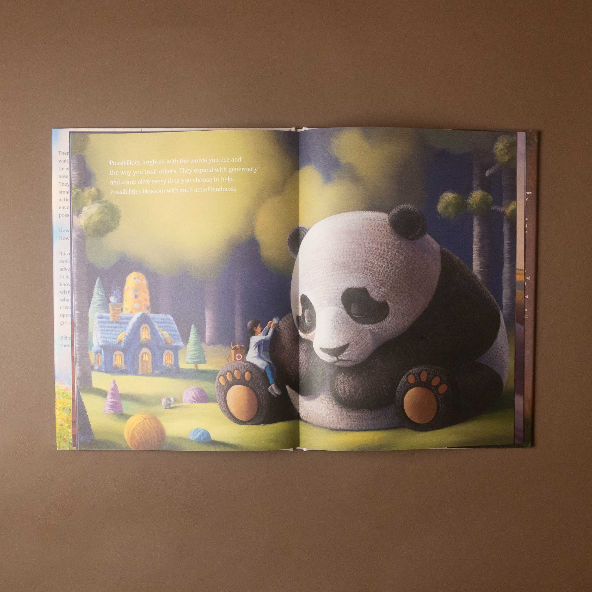 where-do-possibilities-live-book with a panda illustration
