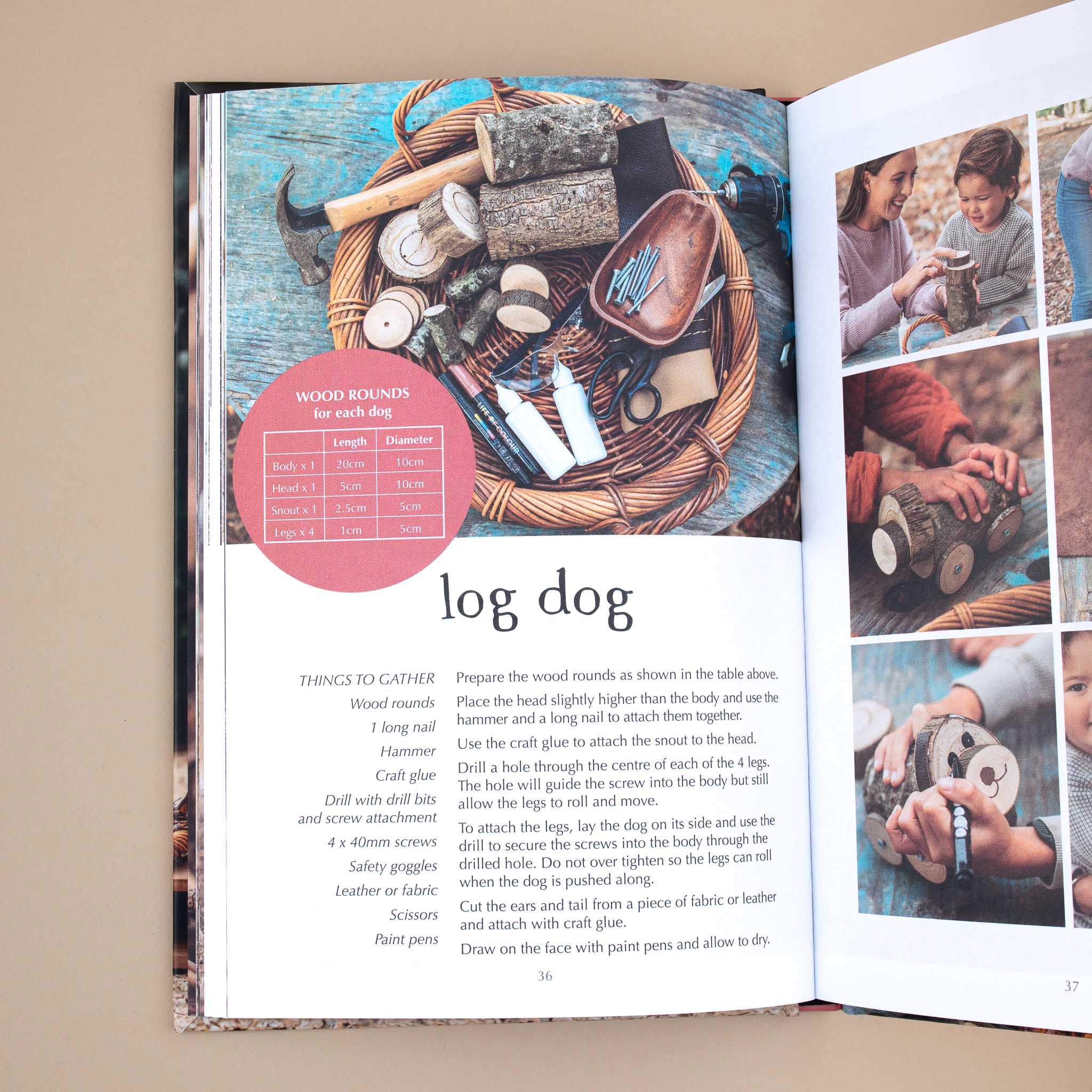 Wild Projects for Families Book