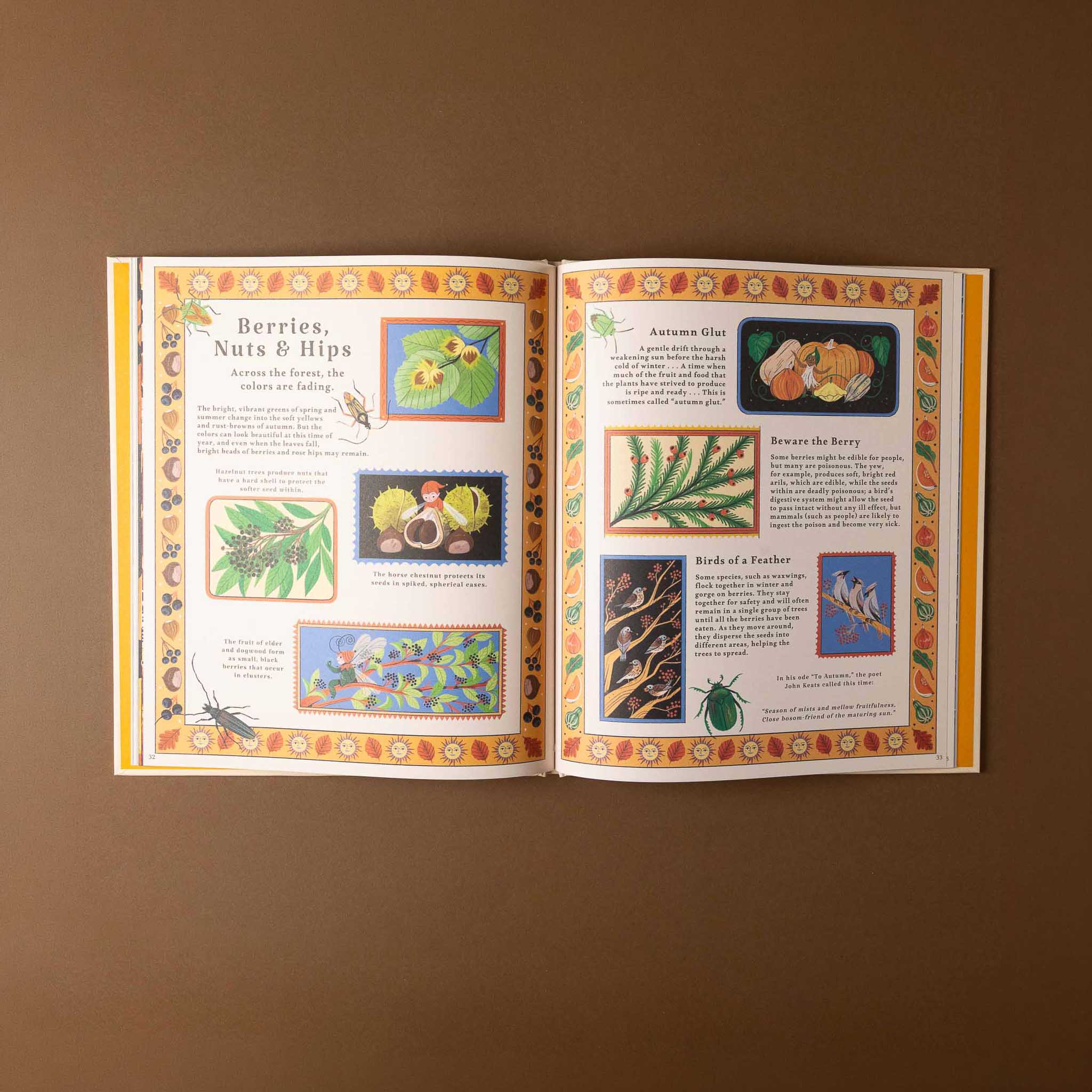 Open woodlore book with illustrations and text on a brown background