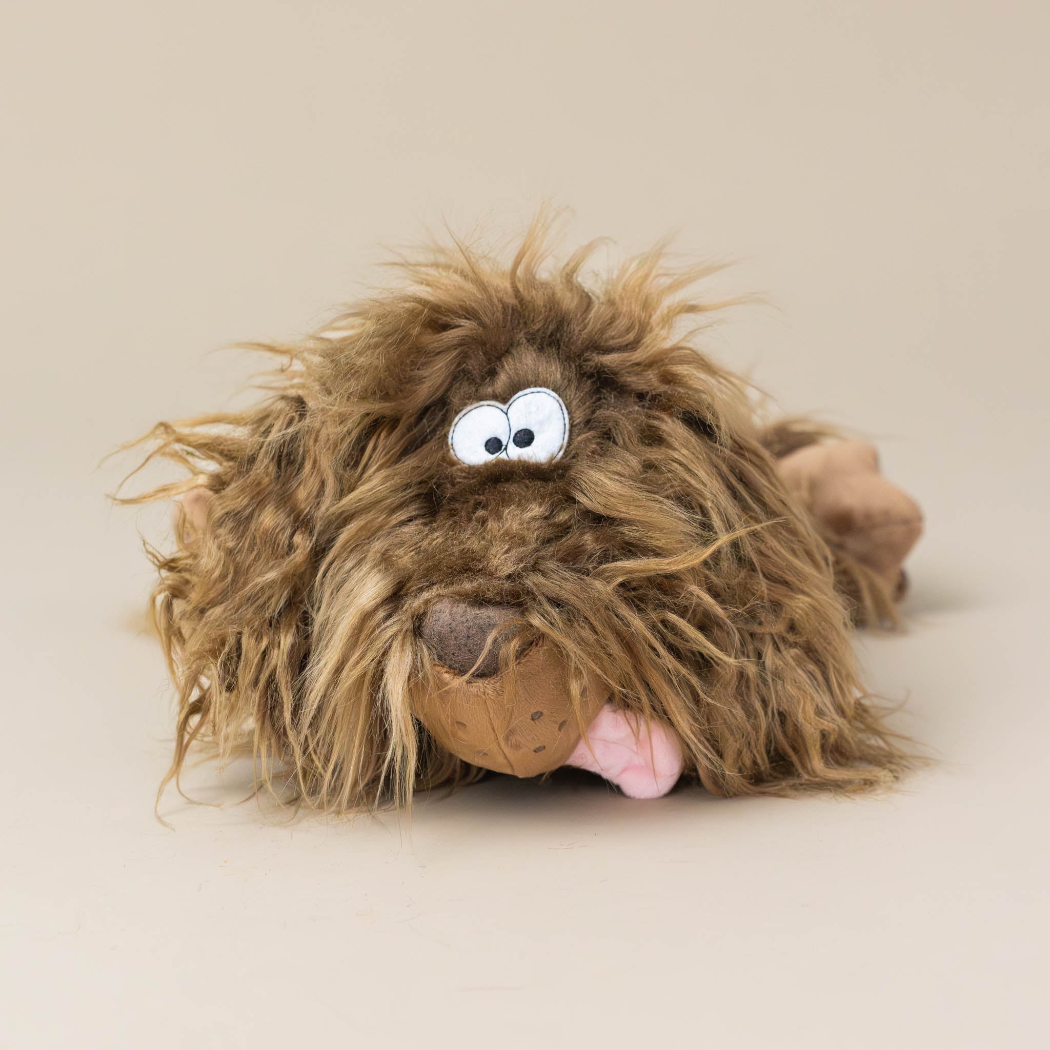 crazy-maned-dog-with-big-silly-eyes-and-pink-tongue