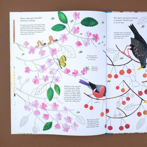 open-book-showing-whita-page-with-text-bees-butterfly-and-birds-sitting-on-a-cherry-blossom-tree